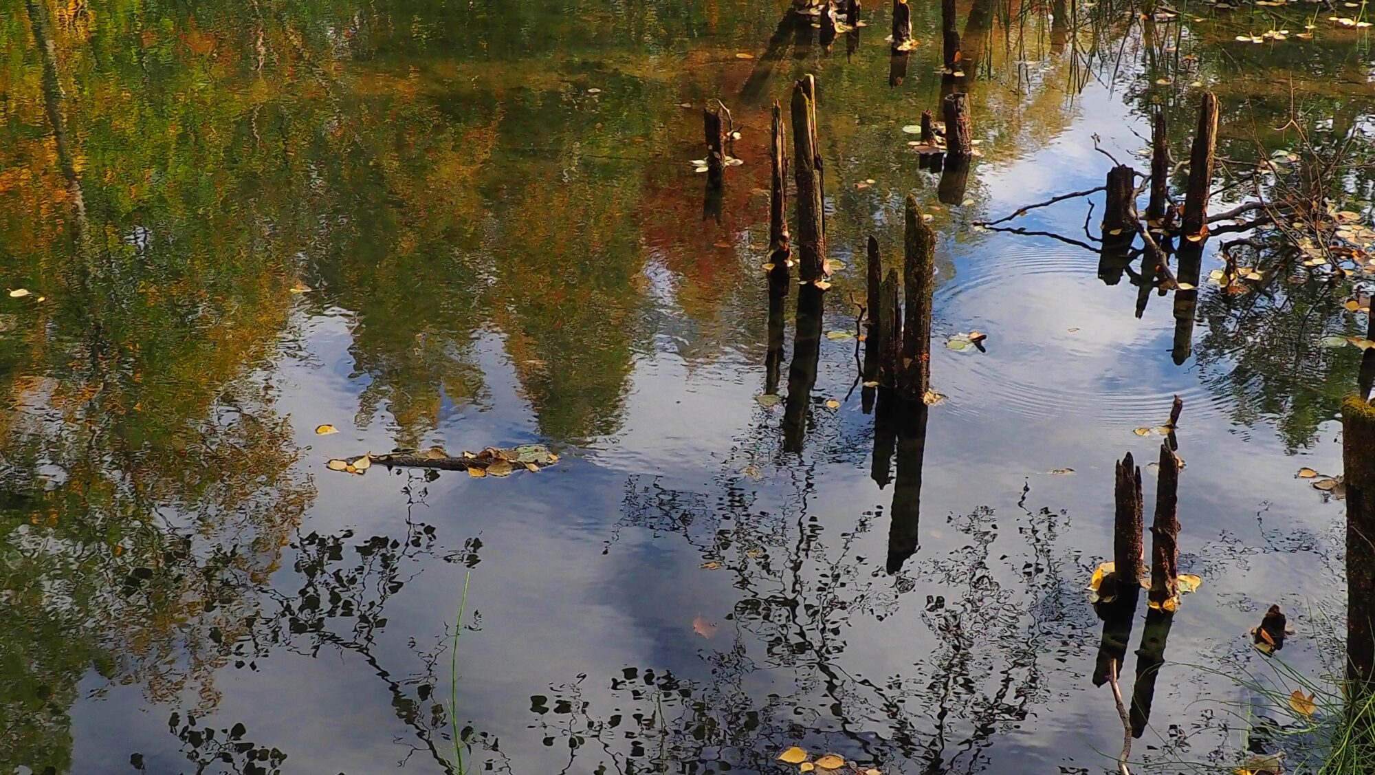 Valokuvaaja: Arja Valtonen