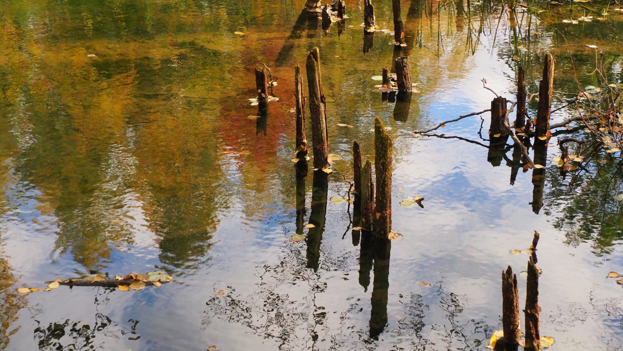 Valokuvaaja: Arja Valtonen