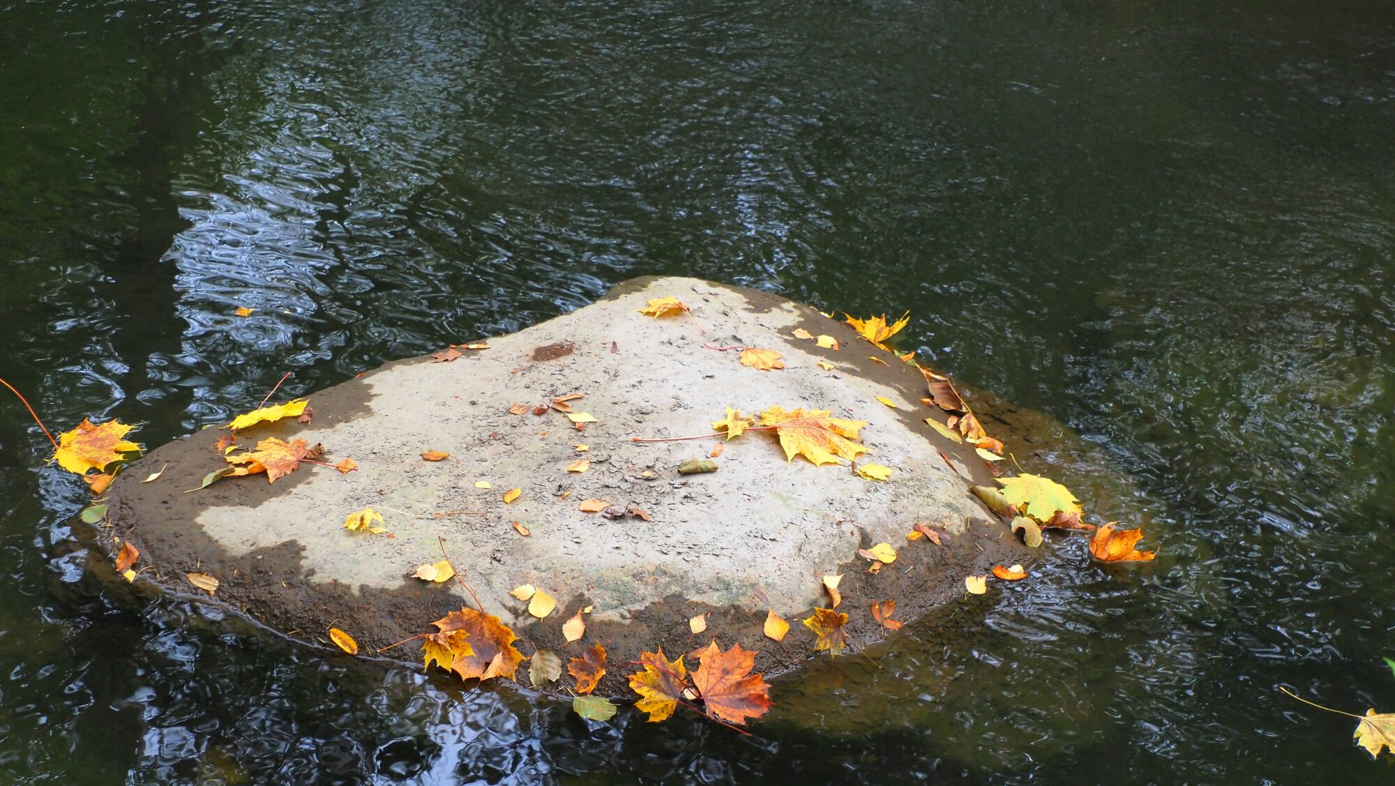 Valokuvaaja: Arja Valtonen