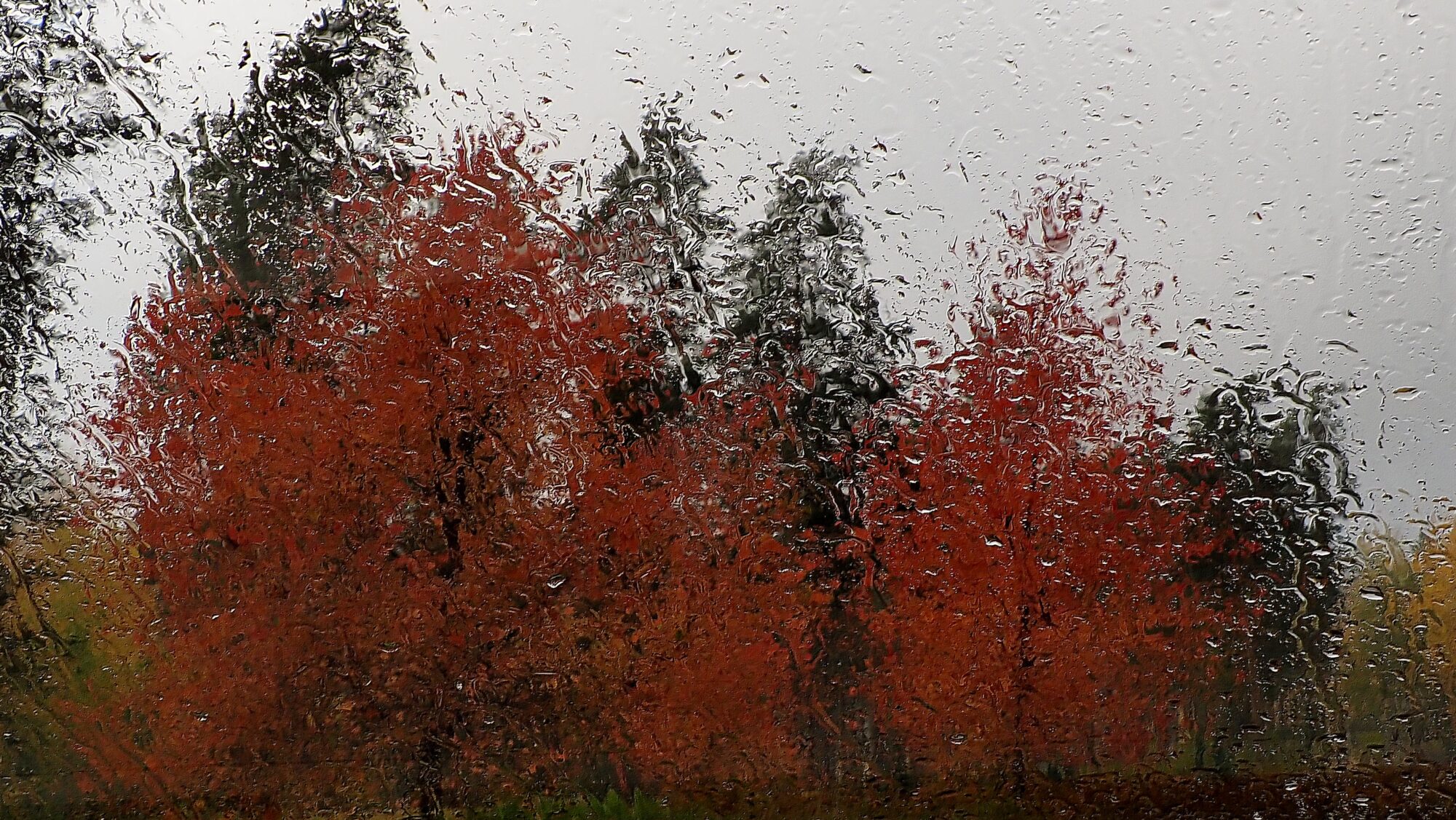 Valokuvaaja: Arja Valtonen