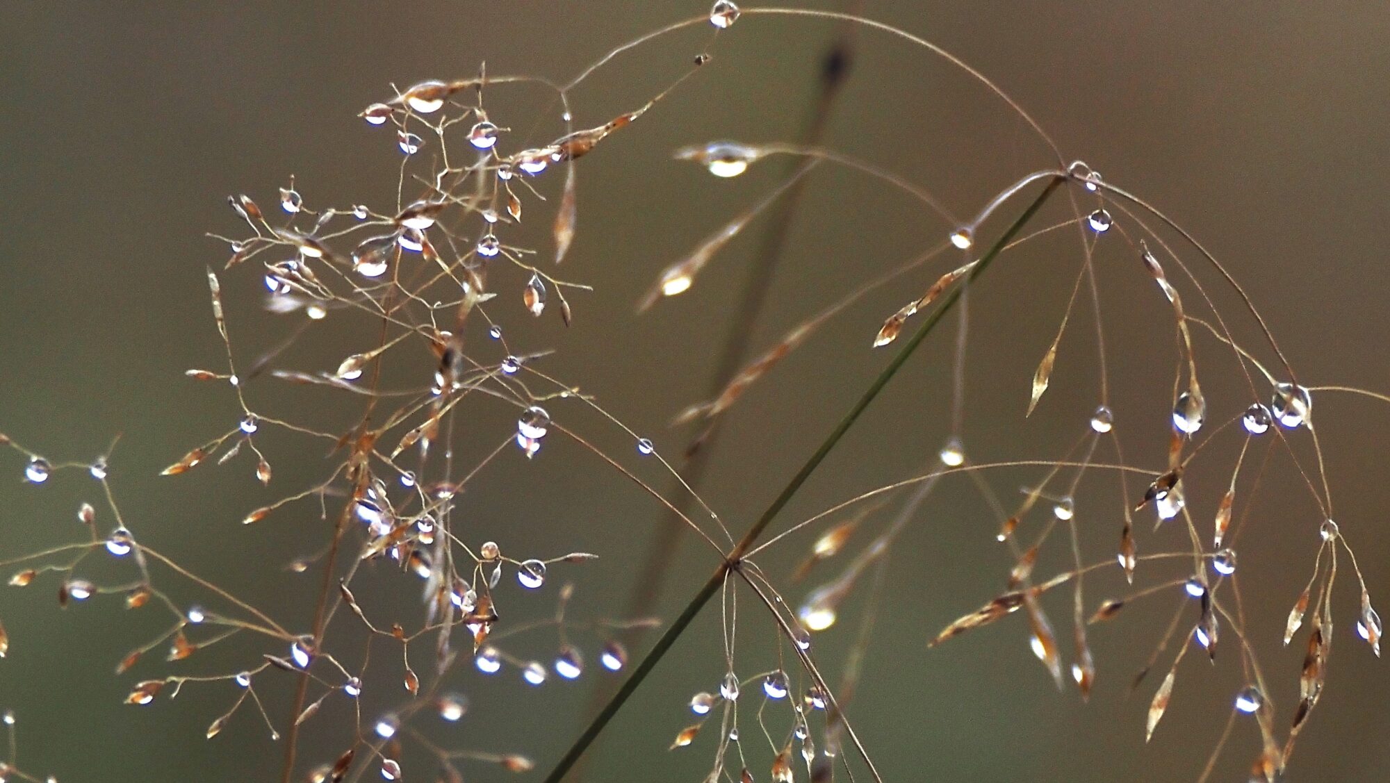 Valokuvaaja: Arja Valtonen