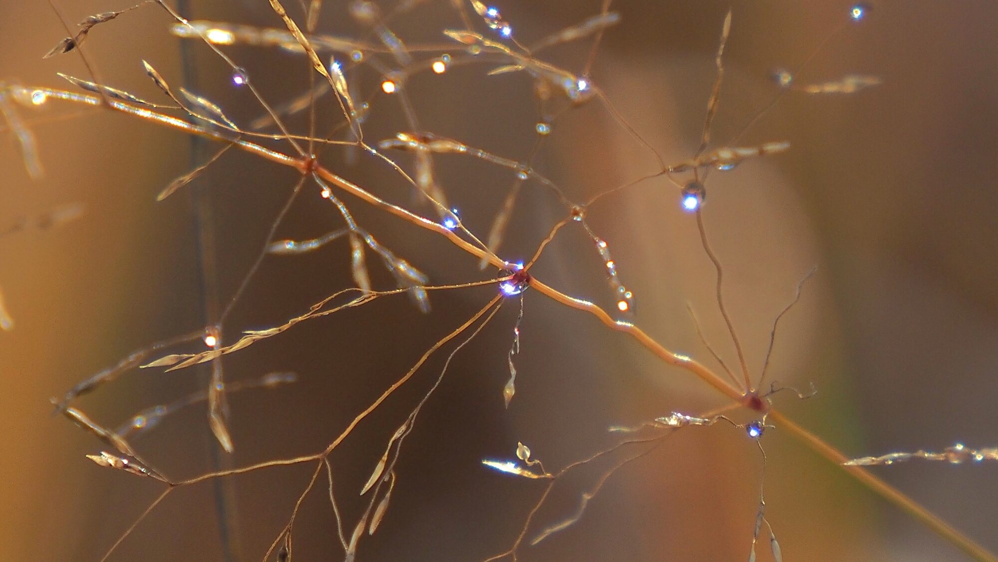 Valokuvaaja: Arja Valtonen Valokuvaaja: Arja Valtonen