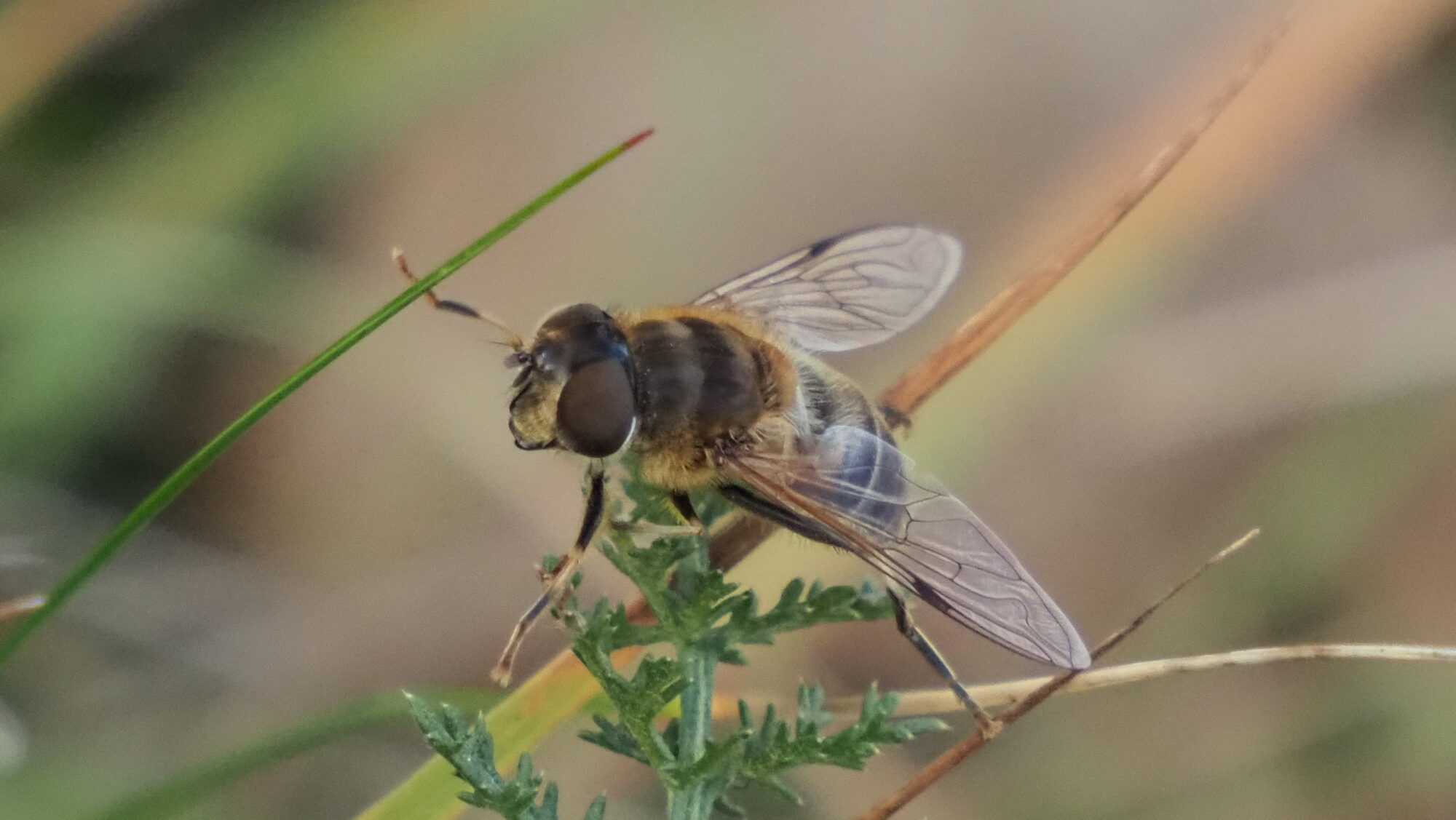 Valokuvaaja: Arja Valtonen