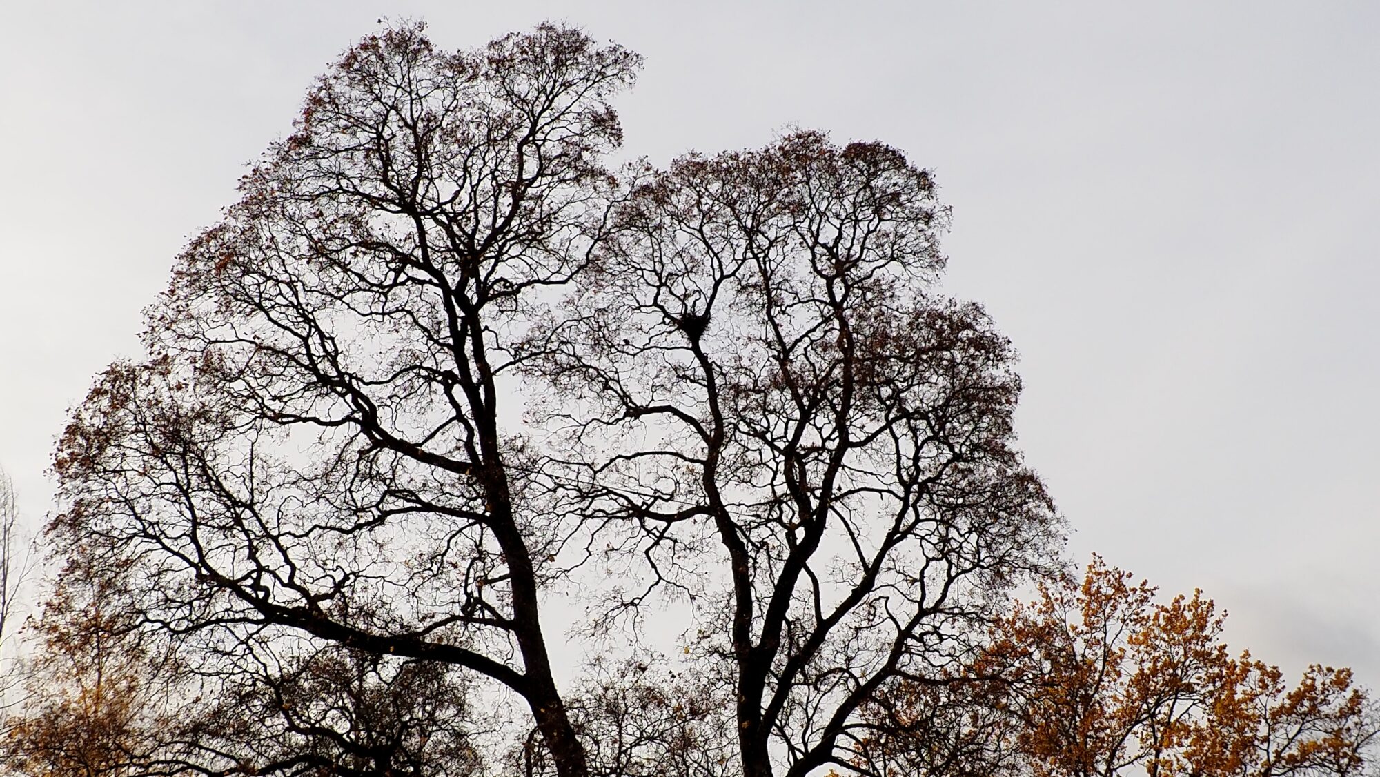 Valokuvaaja: Arja Valtonen Valokuvaaja: Arja Valtonen