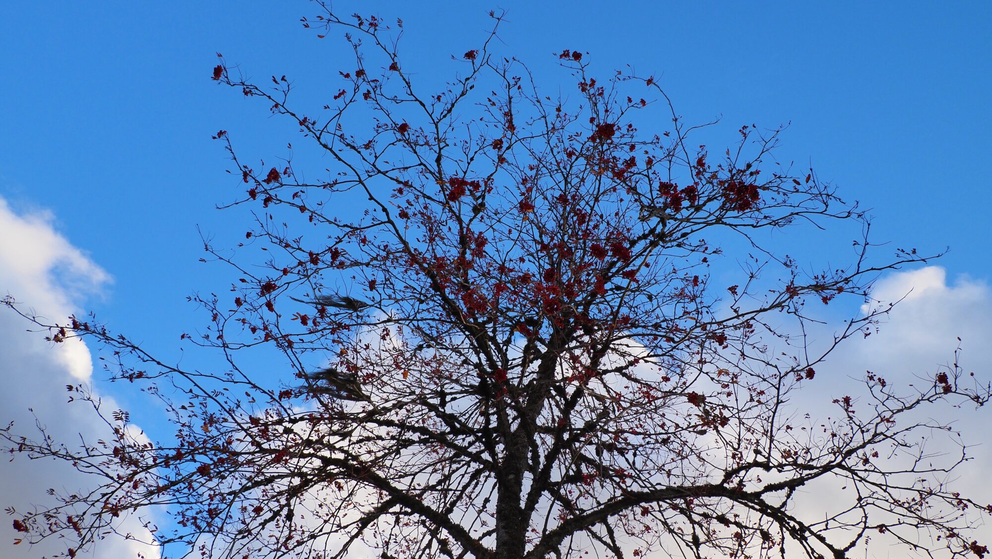 Valokuvaaja: Arja Valtonen