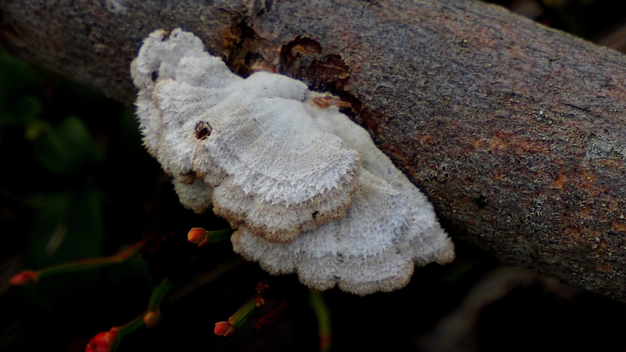 Valokuvaaja: Arja Valtonen