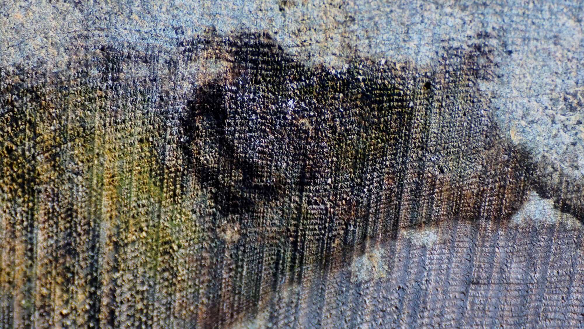 Valokuvaaja: Arja Valtonen