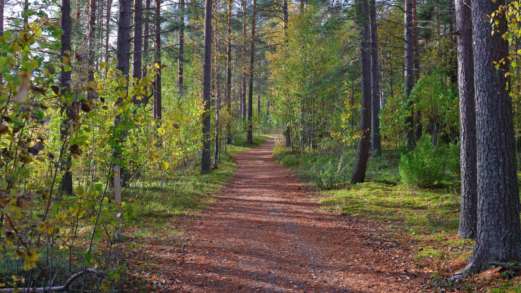 Valokuvaaja: SINIKKA KUJALA