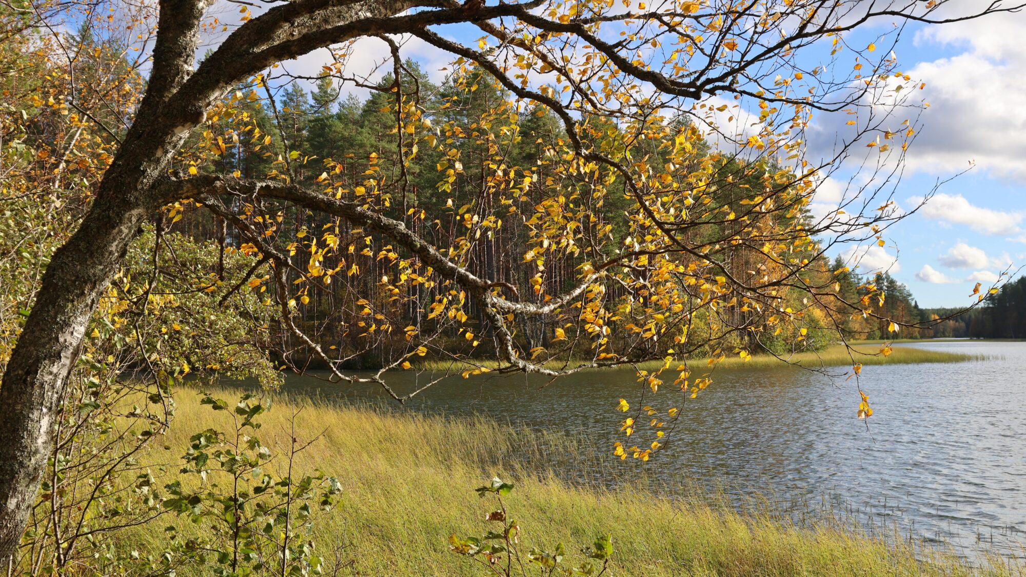 Valokuvaaja: SINIKKA KUJALA