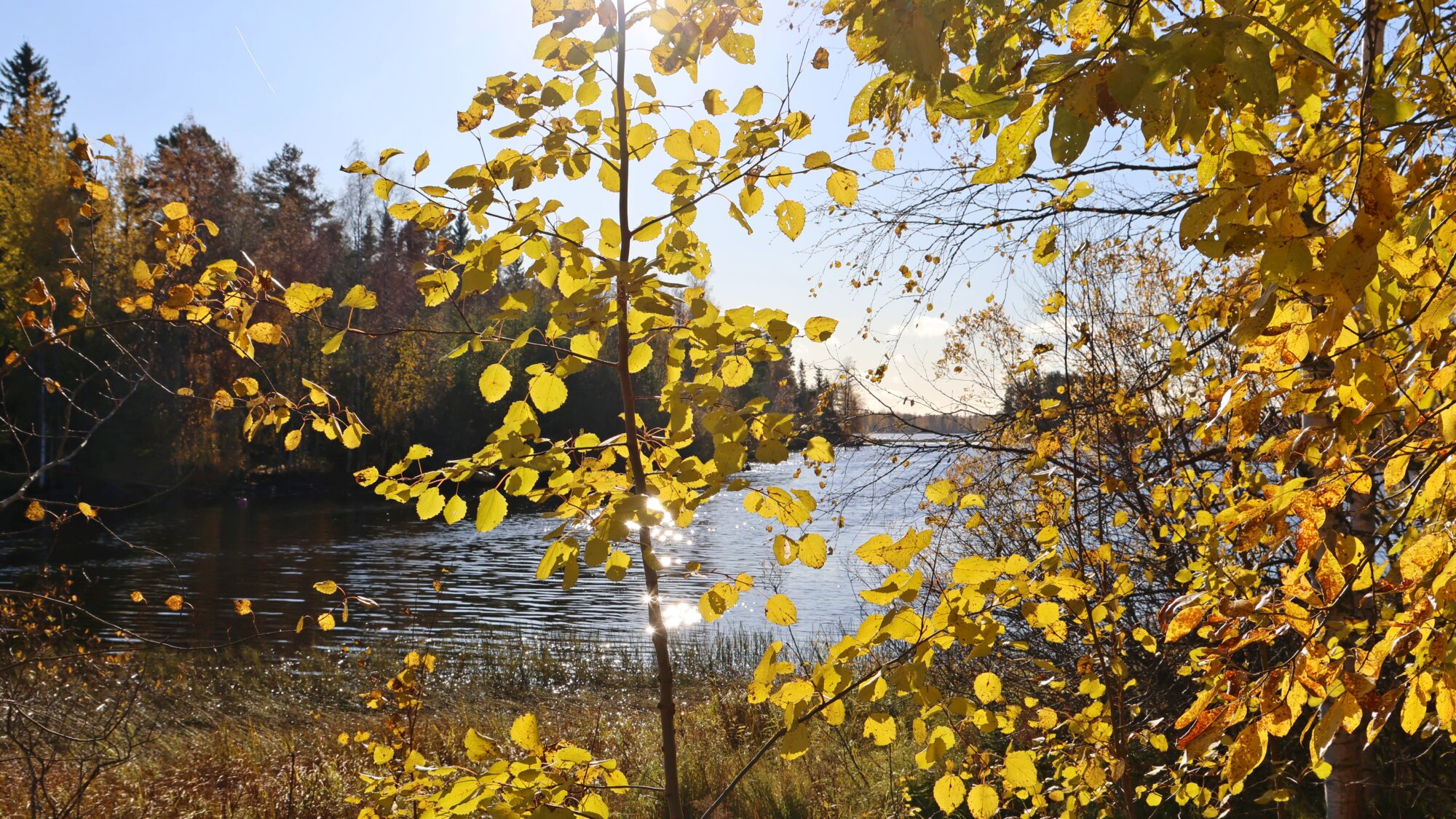 Valokuvaaja: SINIKKA KUJALA