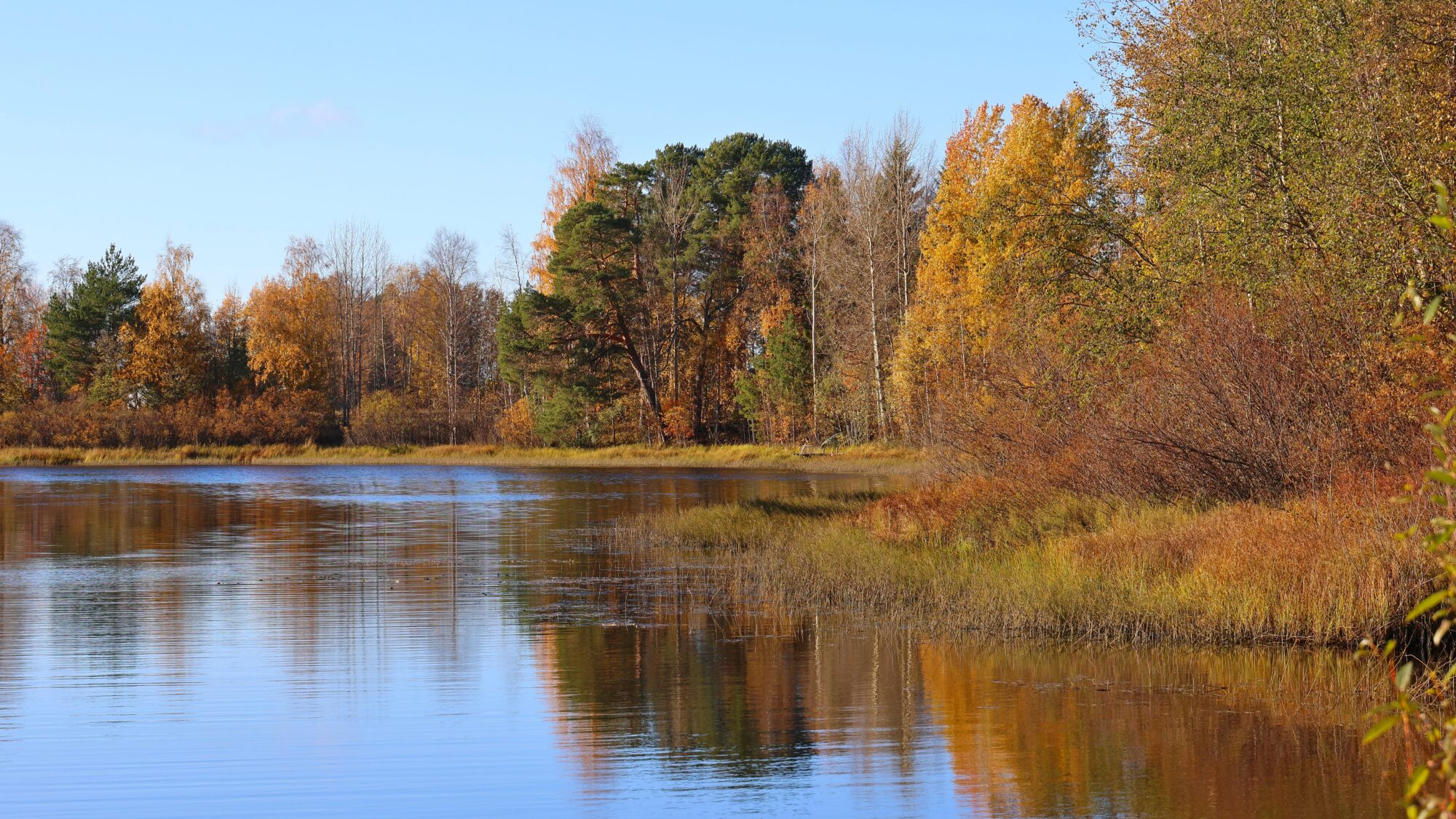 Valokuvaaja: SINIKKA KUJALA