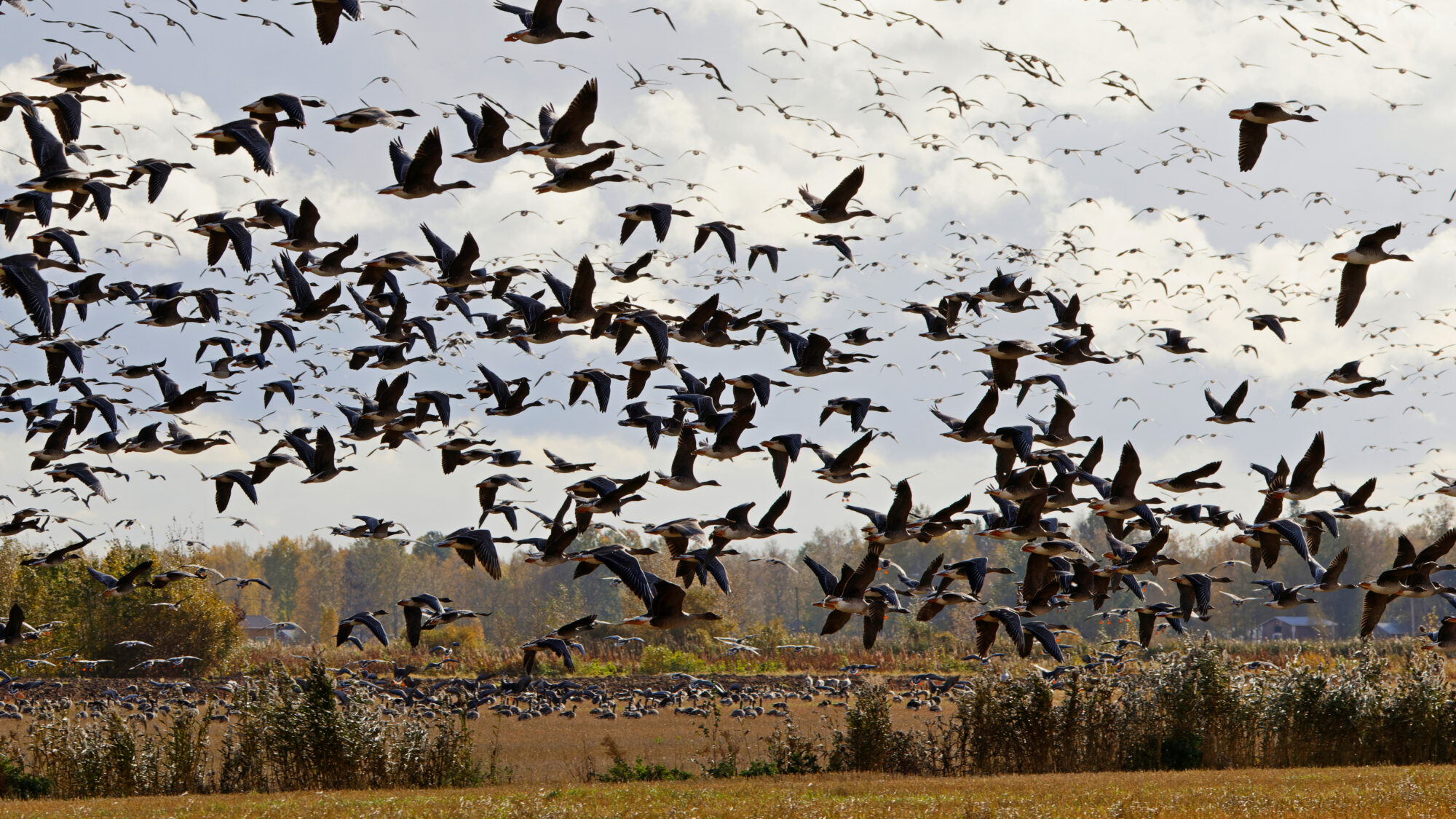 Valokuvaaja: TOMMI KUJALA
