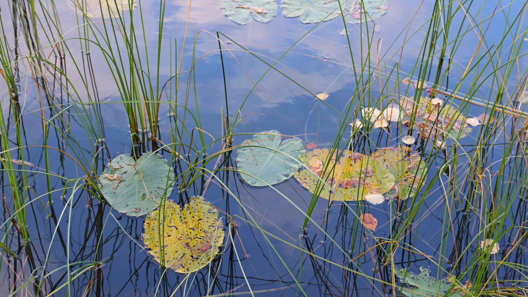 Valokuvaaja: SINIKKA KUJALA