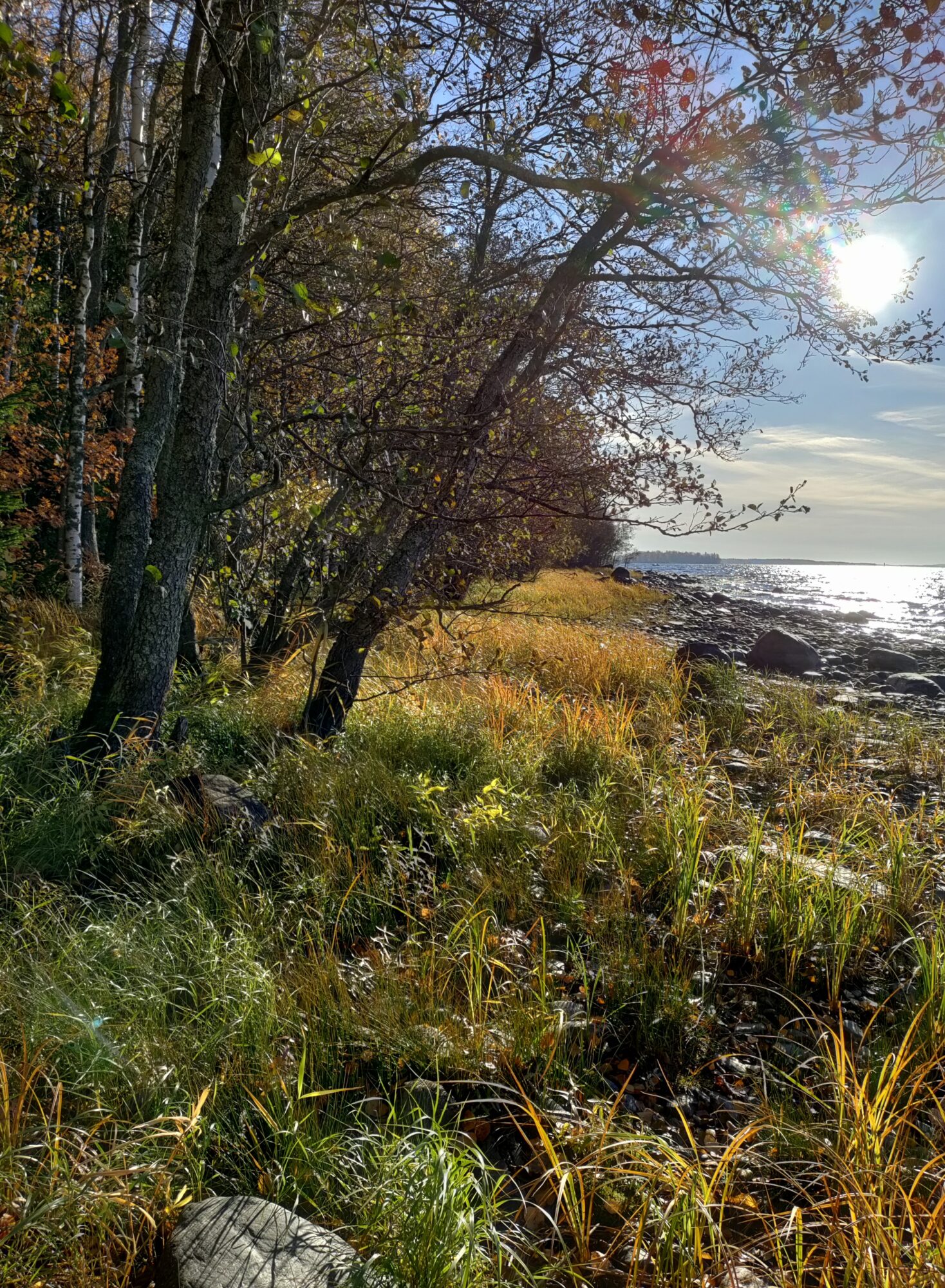 Valokuvaaja: Seija Salminen