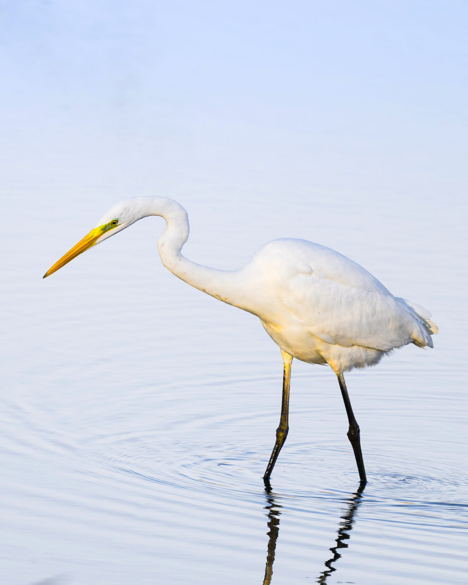 Valokuvaaja: Risto Lavi