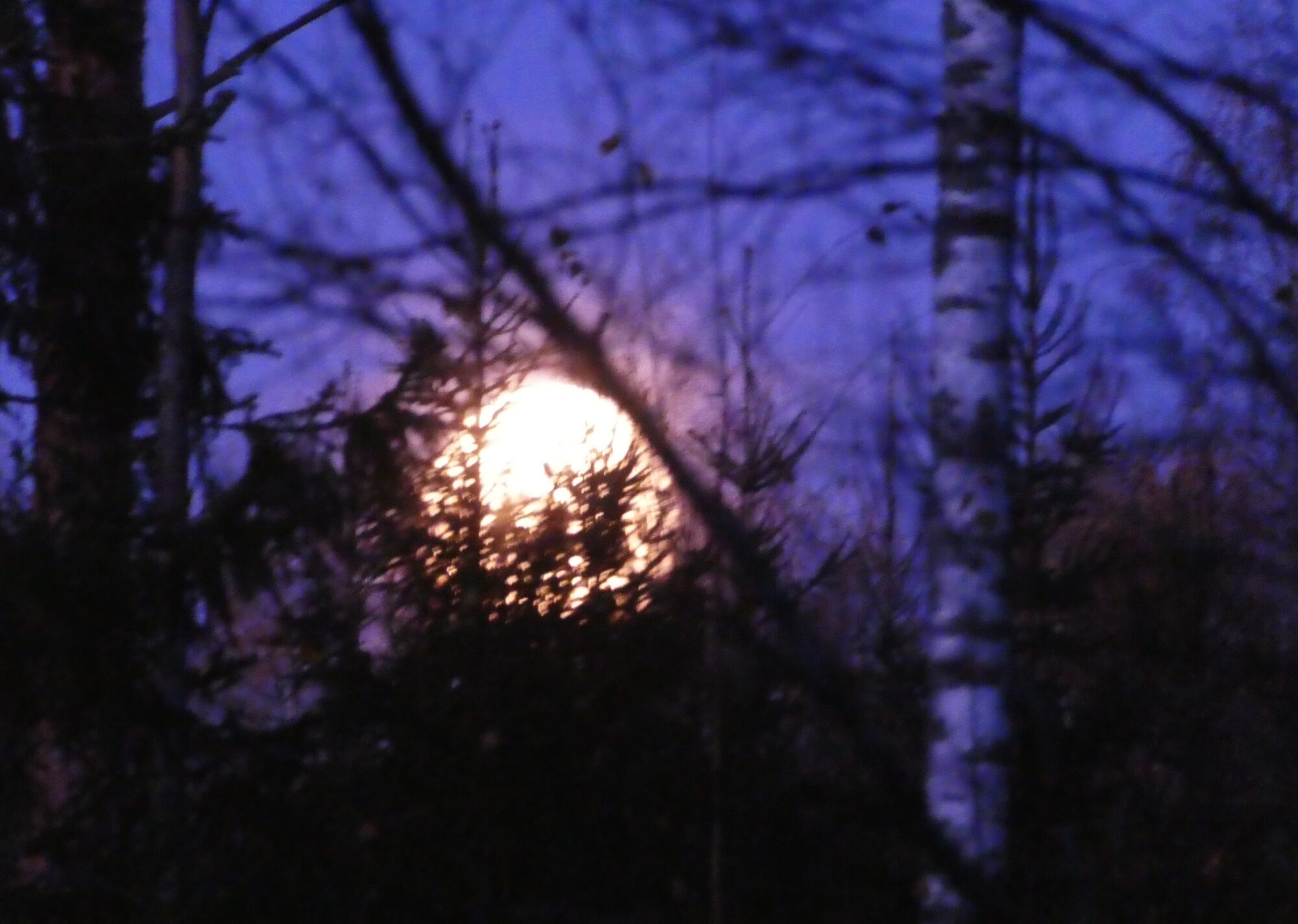 Valokuvaaja: Anja Mustamaa