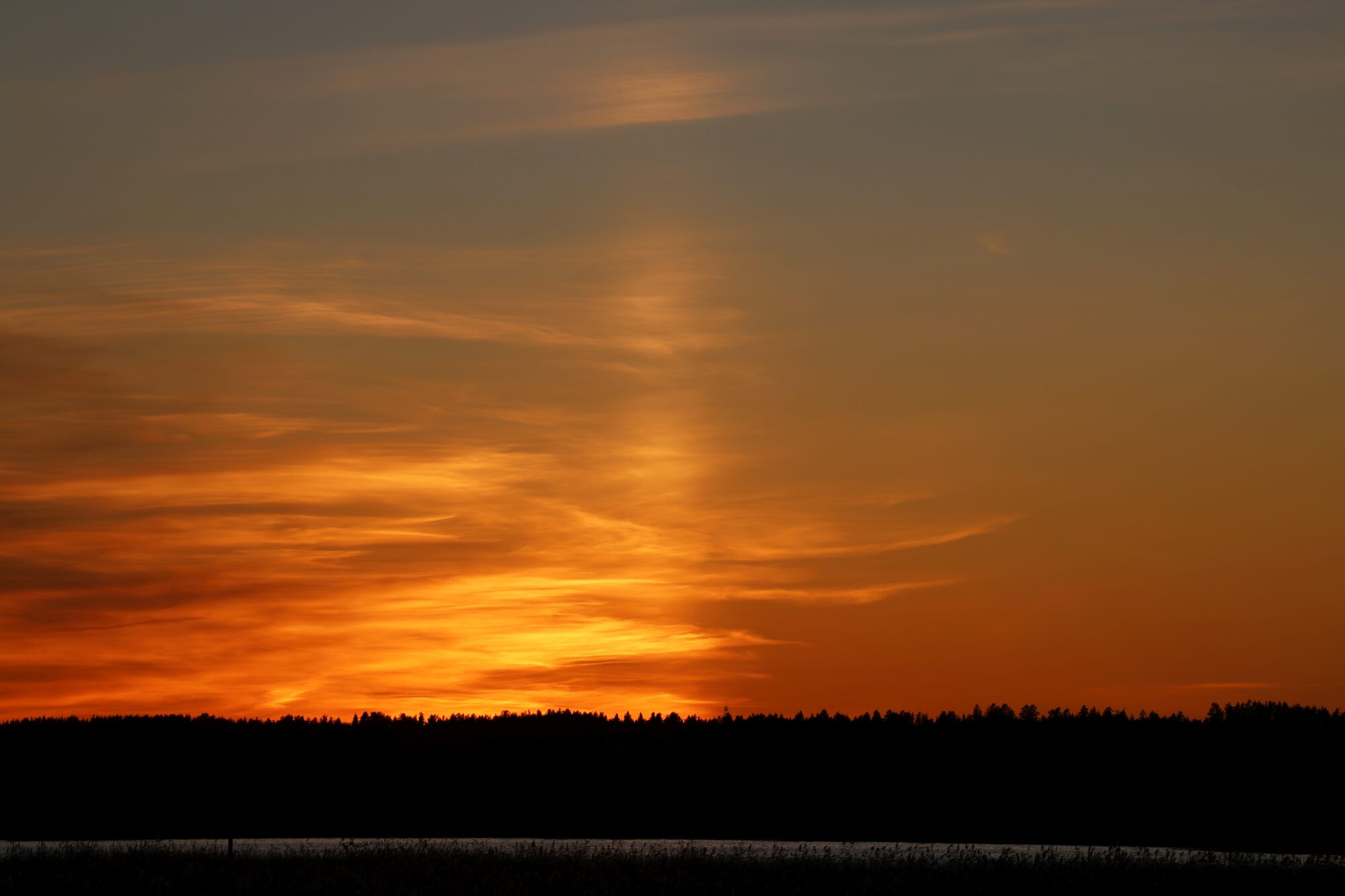 Valokuvaaja: Jaana Saarelainen