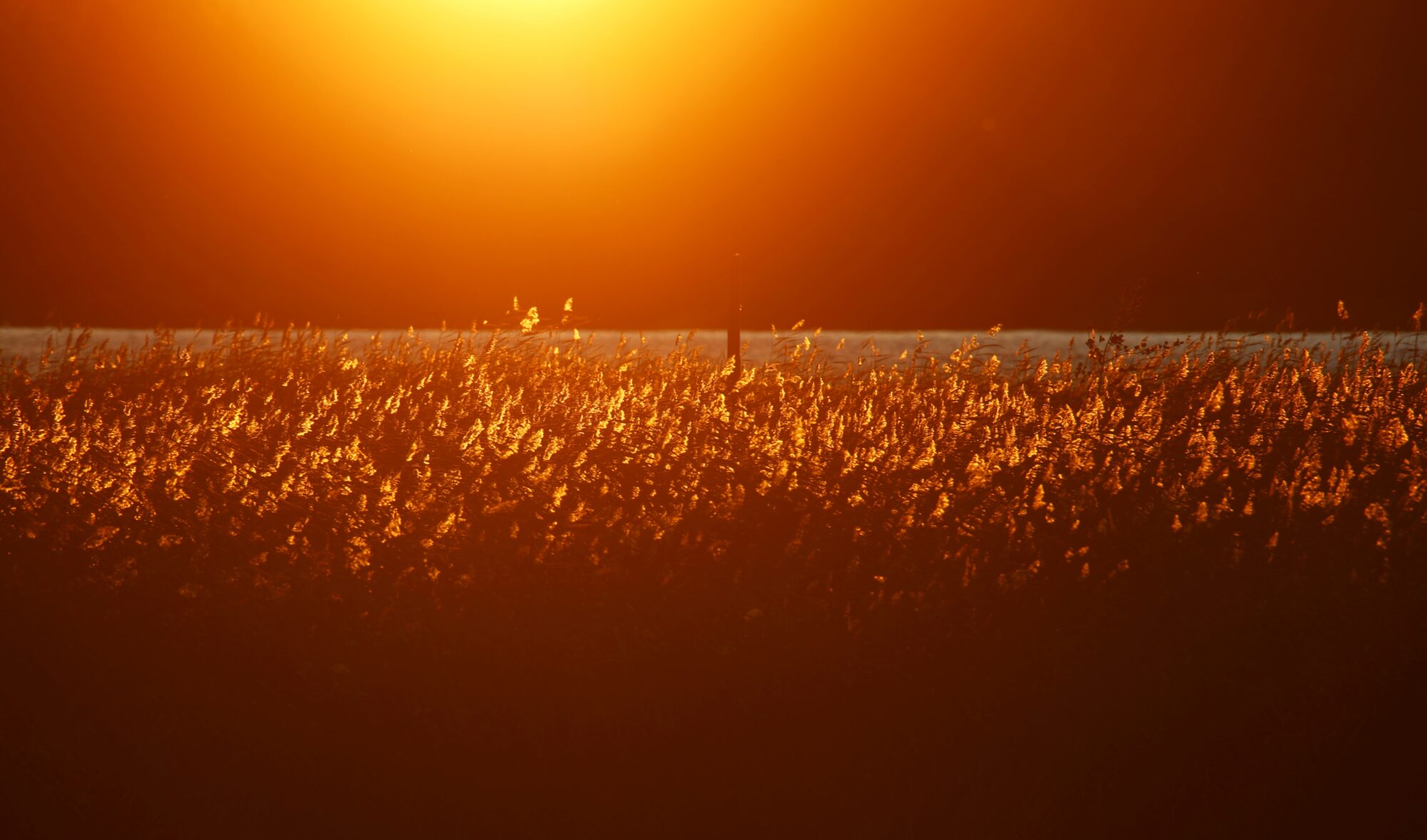 Valokuvaaja: Jaana Saarelainen