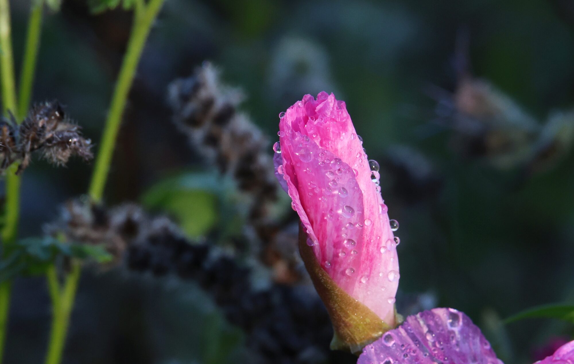 Valokuvaaja: Jaana Saarelainen