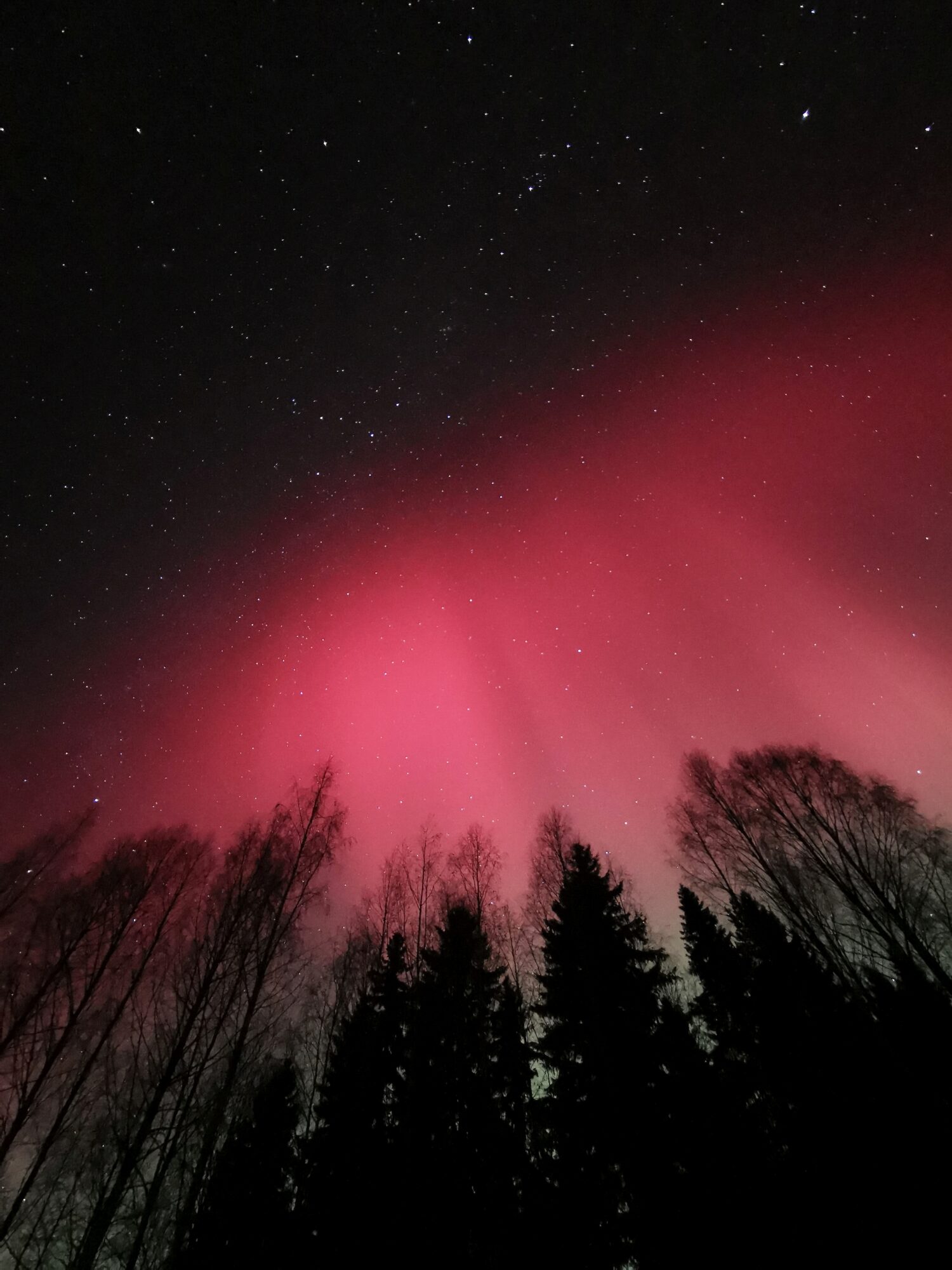 Valokuvaaja: Jaana Saarelainen