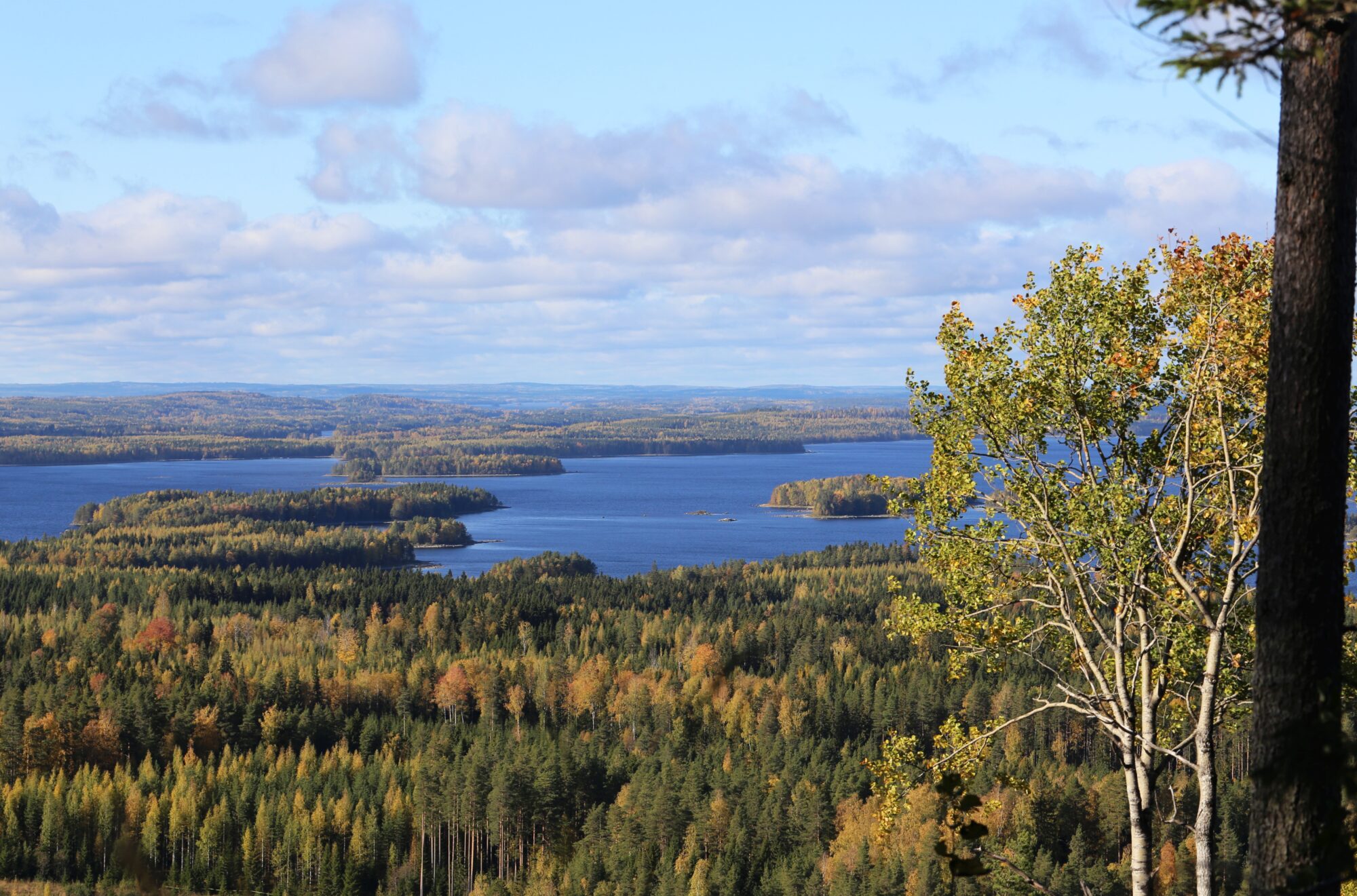 Valokuvaaja: Jaana Saarelainen