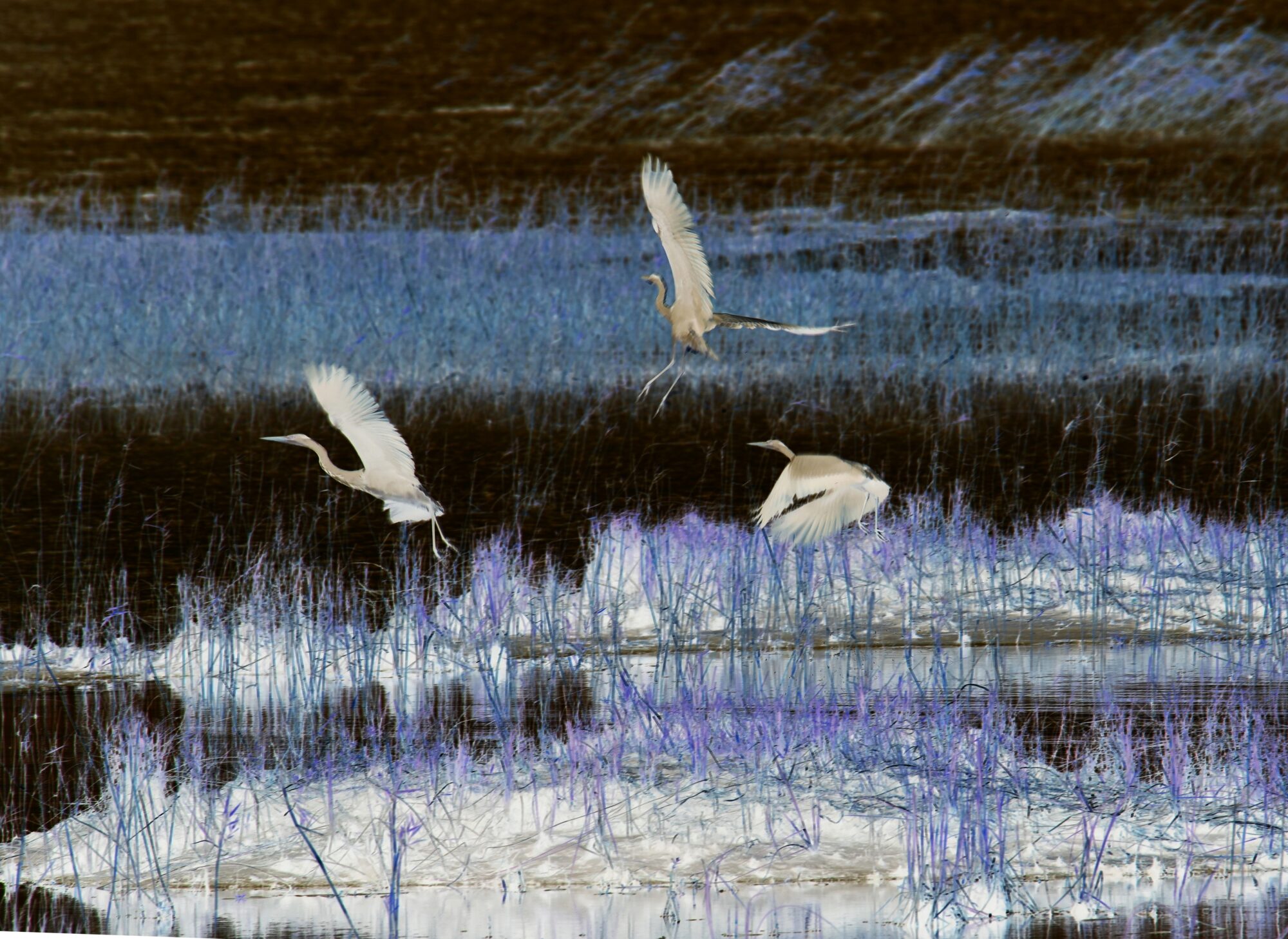 Valokuvaaja: Jaana Saarelainen Valokuvaaja: Jaana Saarelainen