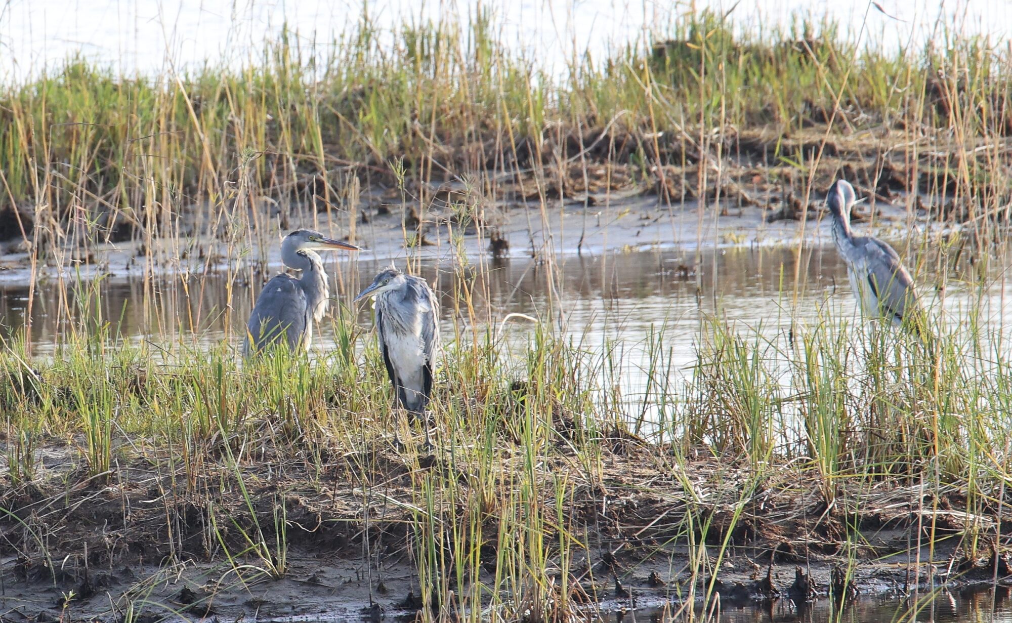 Valokuvaaja: Jaana Saarelainen