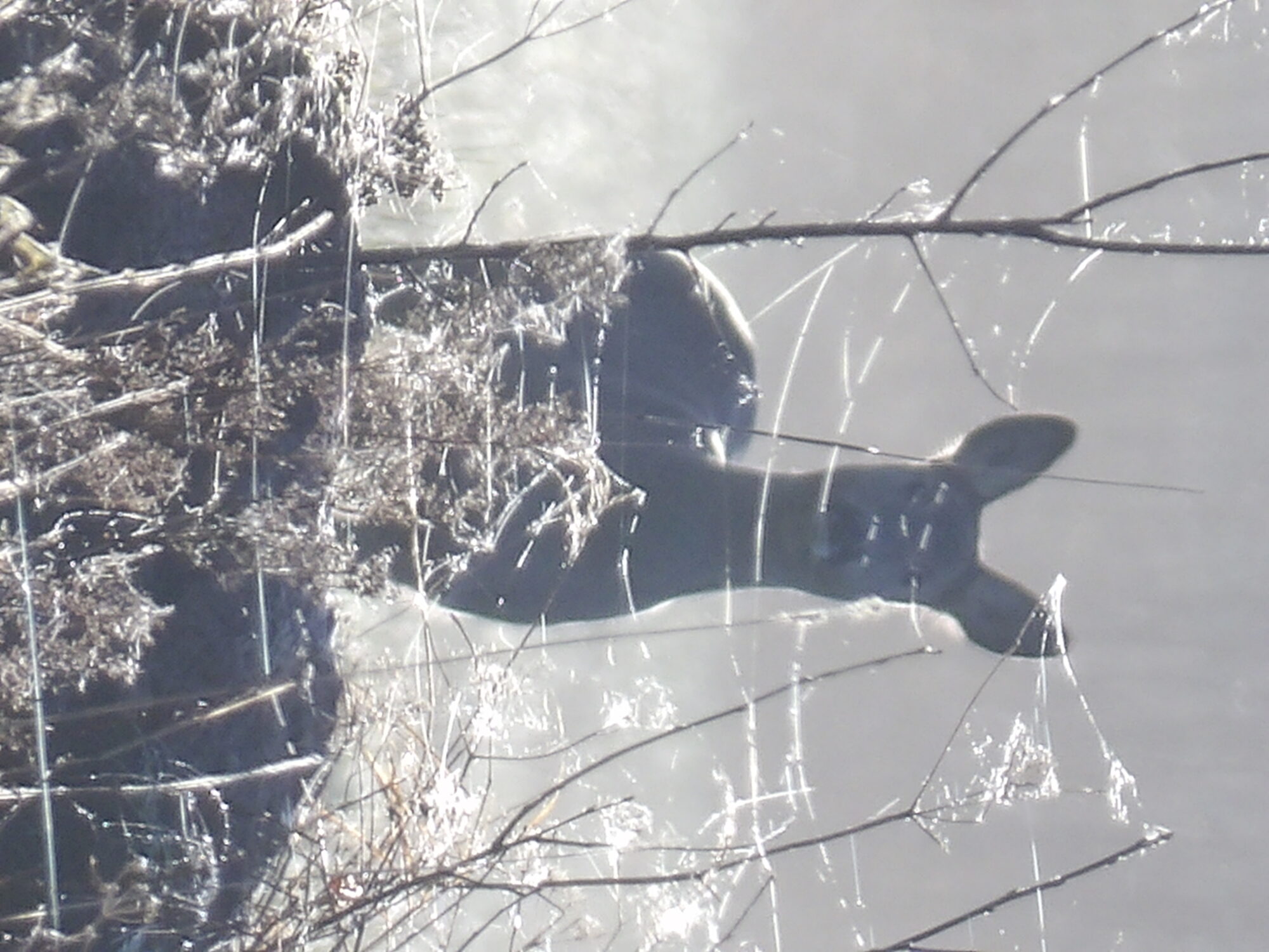 Valokuvaaja: Salla K