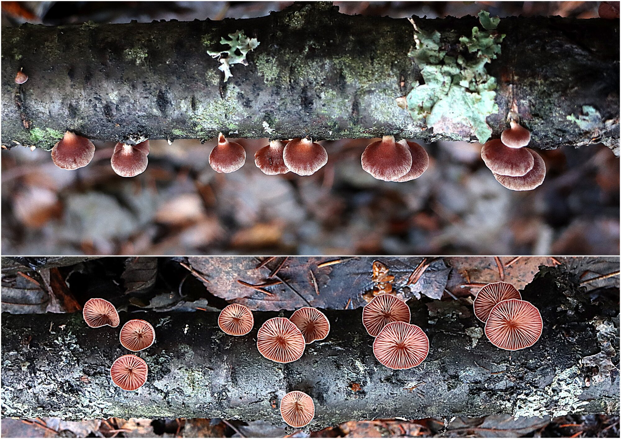 Valokuvaaja: Hannu Rasiranta
