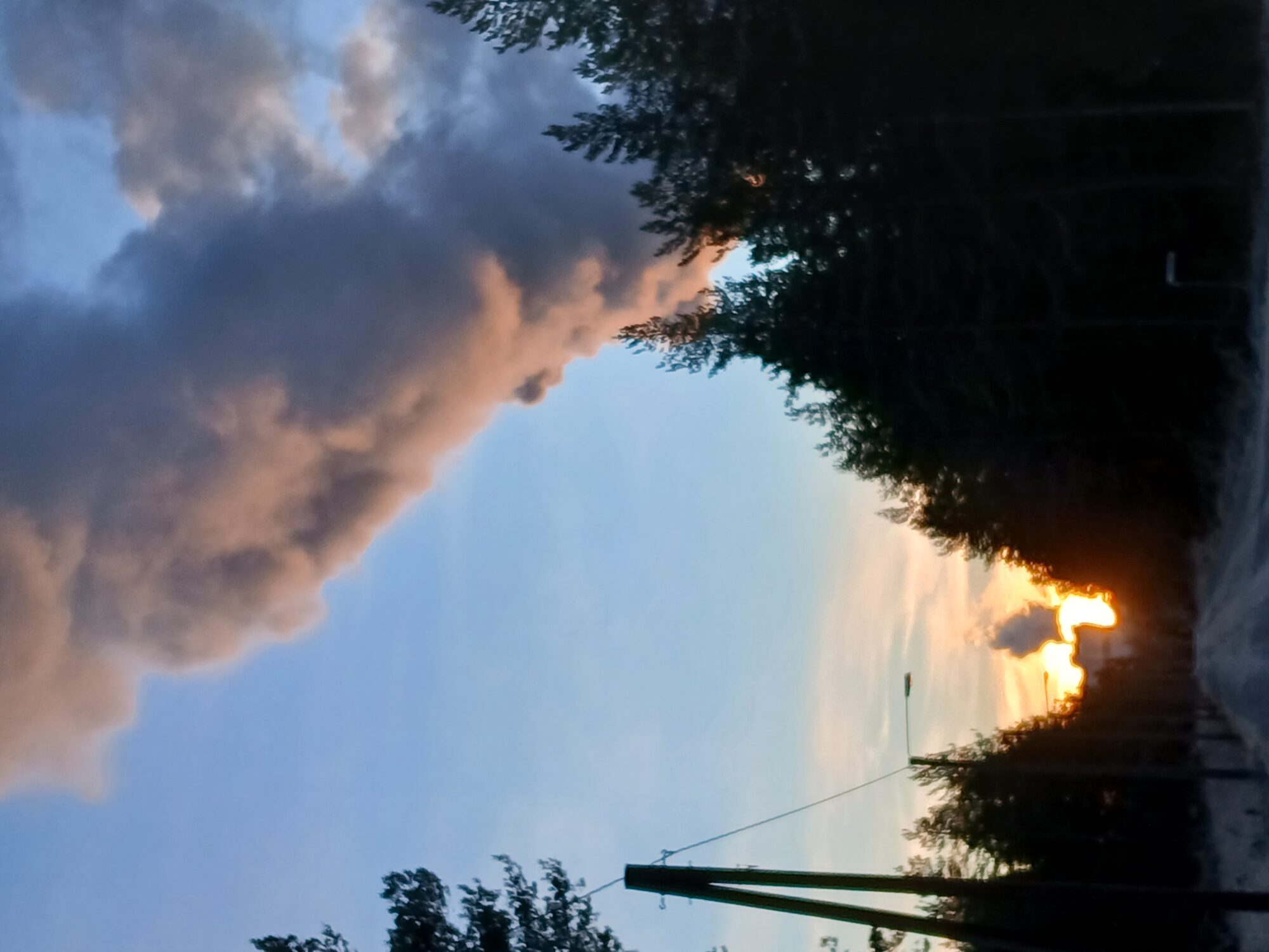 Valokuvaaja: Auli Feldt