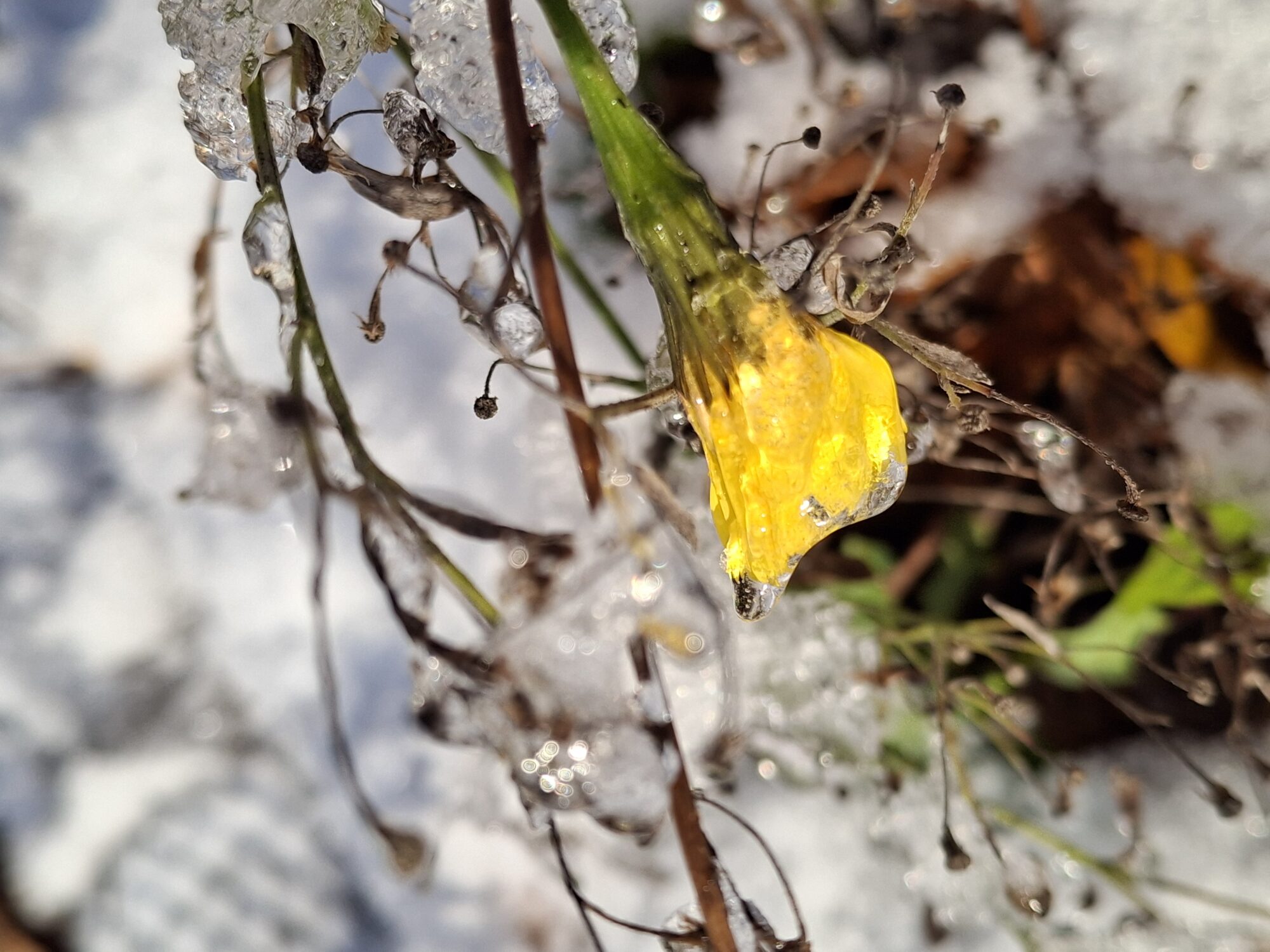 Valokuvaaja: Satu Suuntala