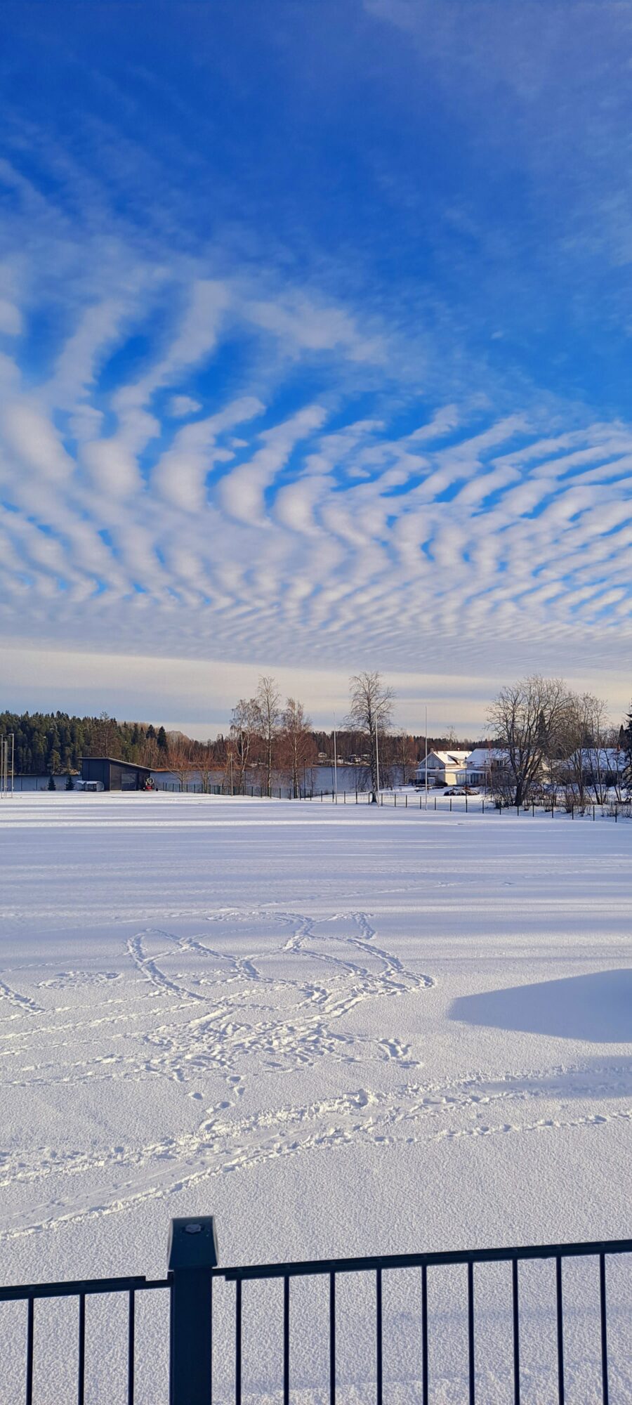 Valokuvaaja: Raisa Vuokola