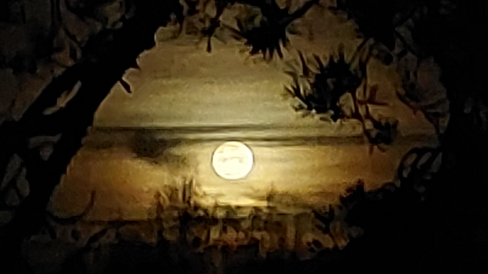 Valokuvaaja: Tarja Naukkarinen