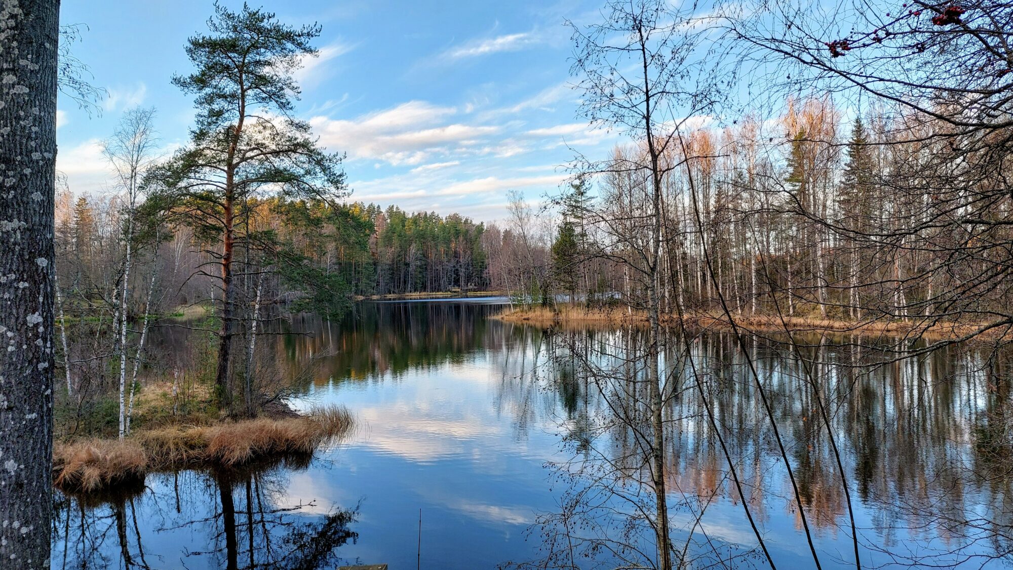 Valokuvaaja: Tarja Naukkarinen