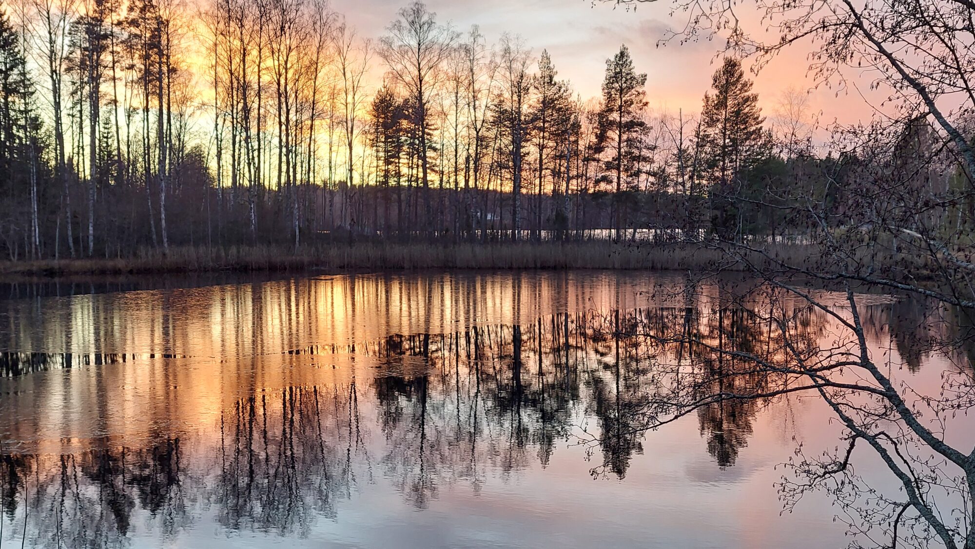 Valokuvaaja: Tarja Naukkarinen