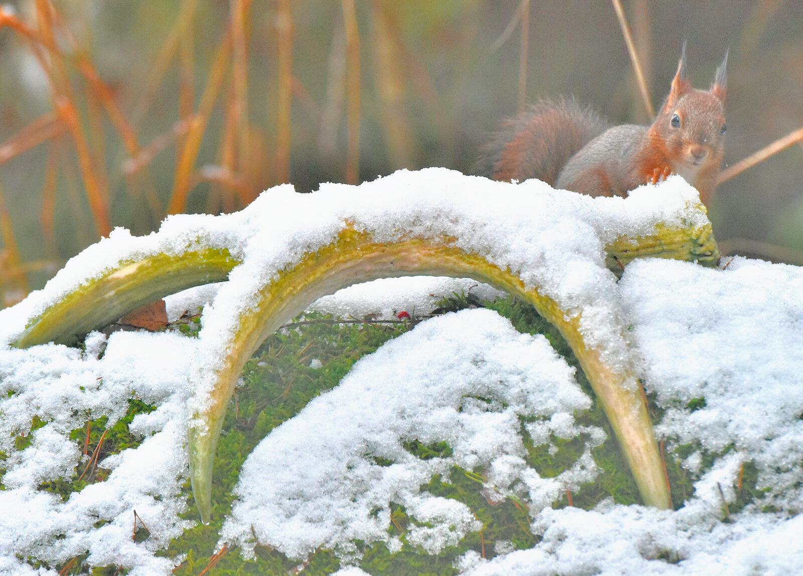 Valokuvaaja: Reijo Juurinen