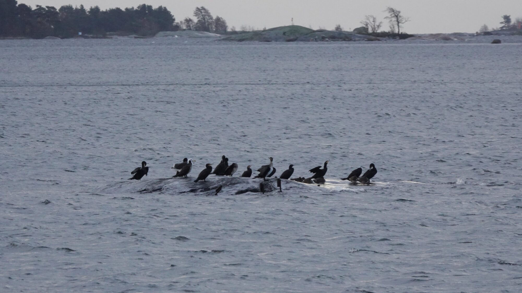Valokuvaaja: Jenna Pitkänen