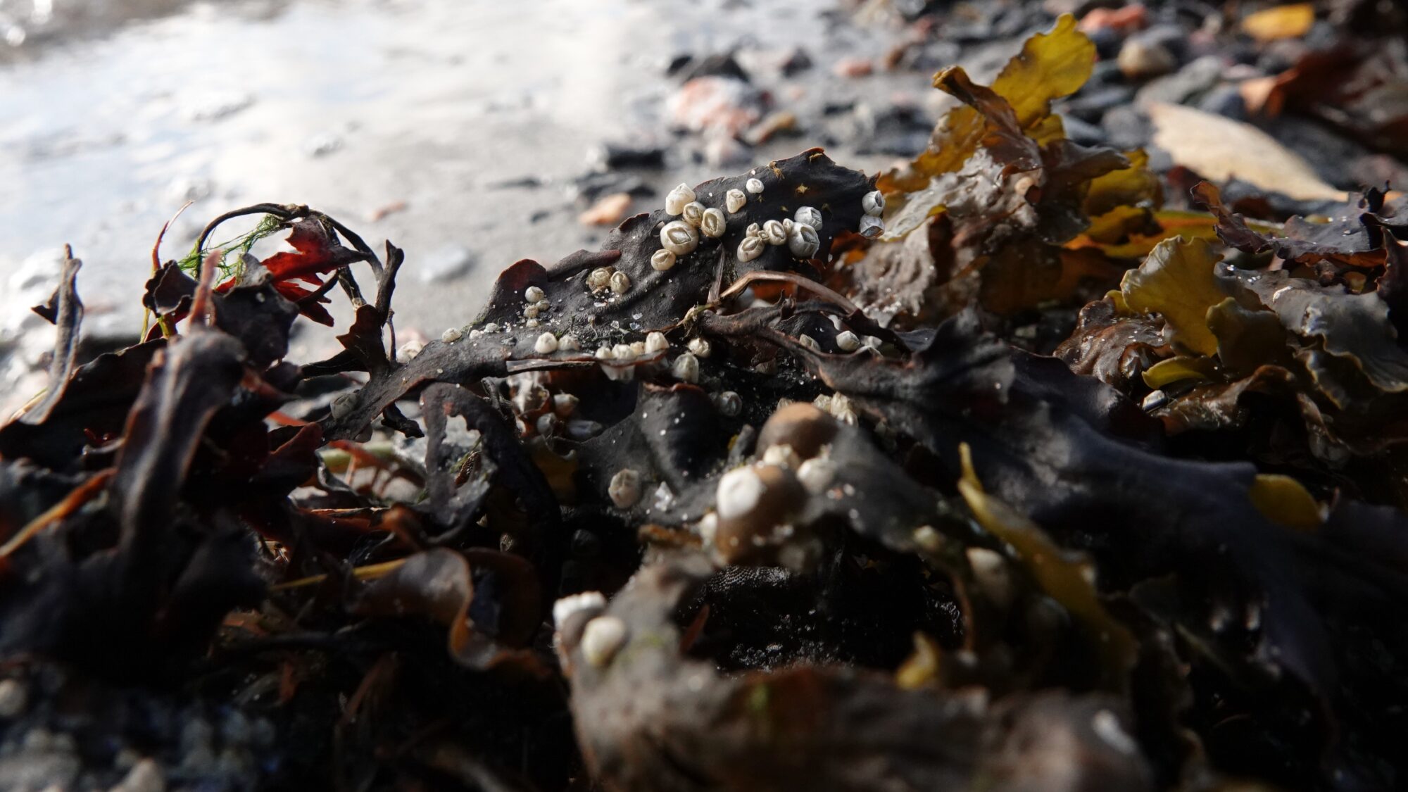 Valokuvaaja: Jenna Pitkänen