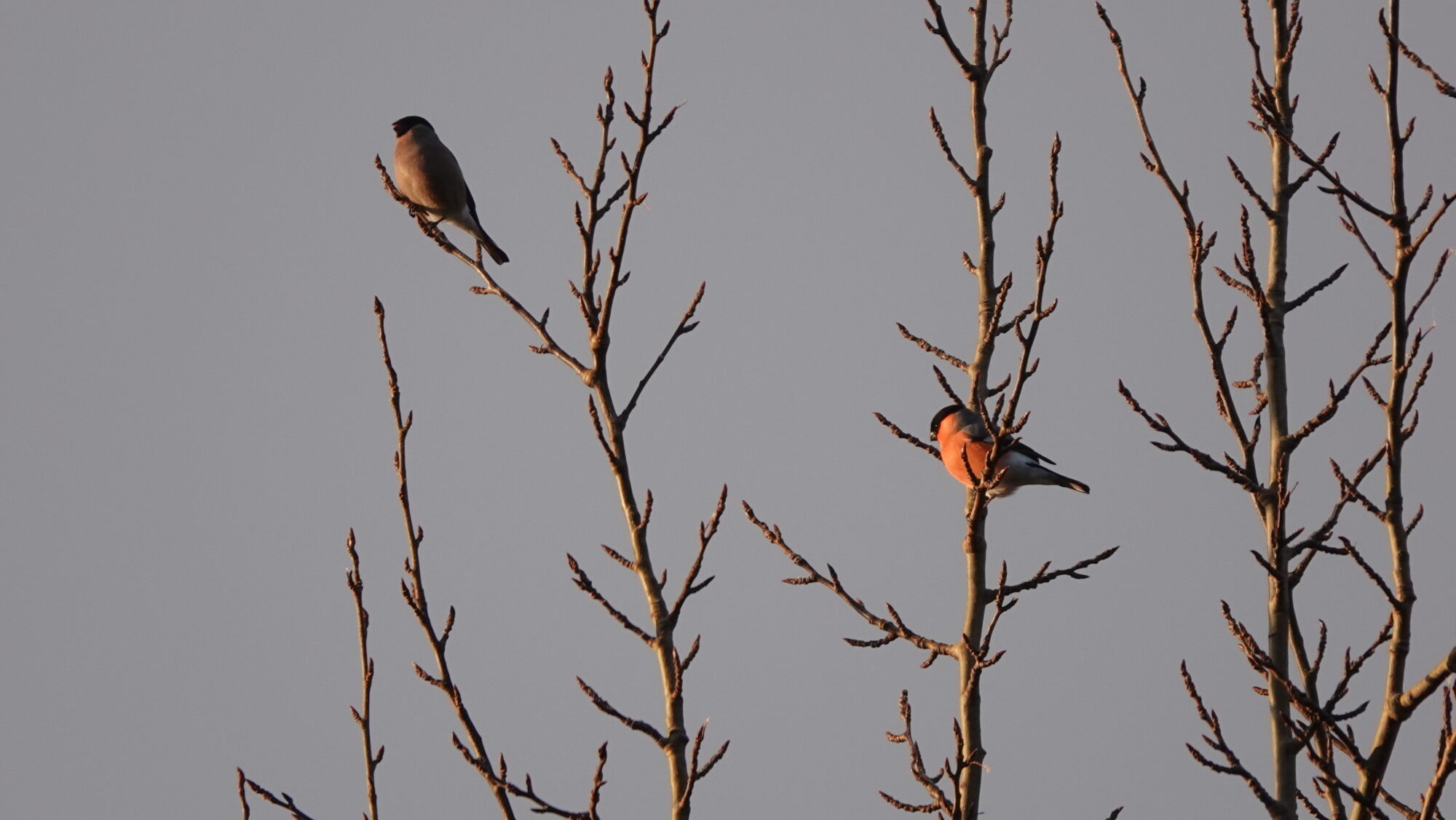 Valokuvaaja: Jenna Pitkänen
