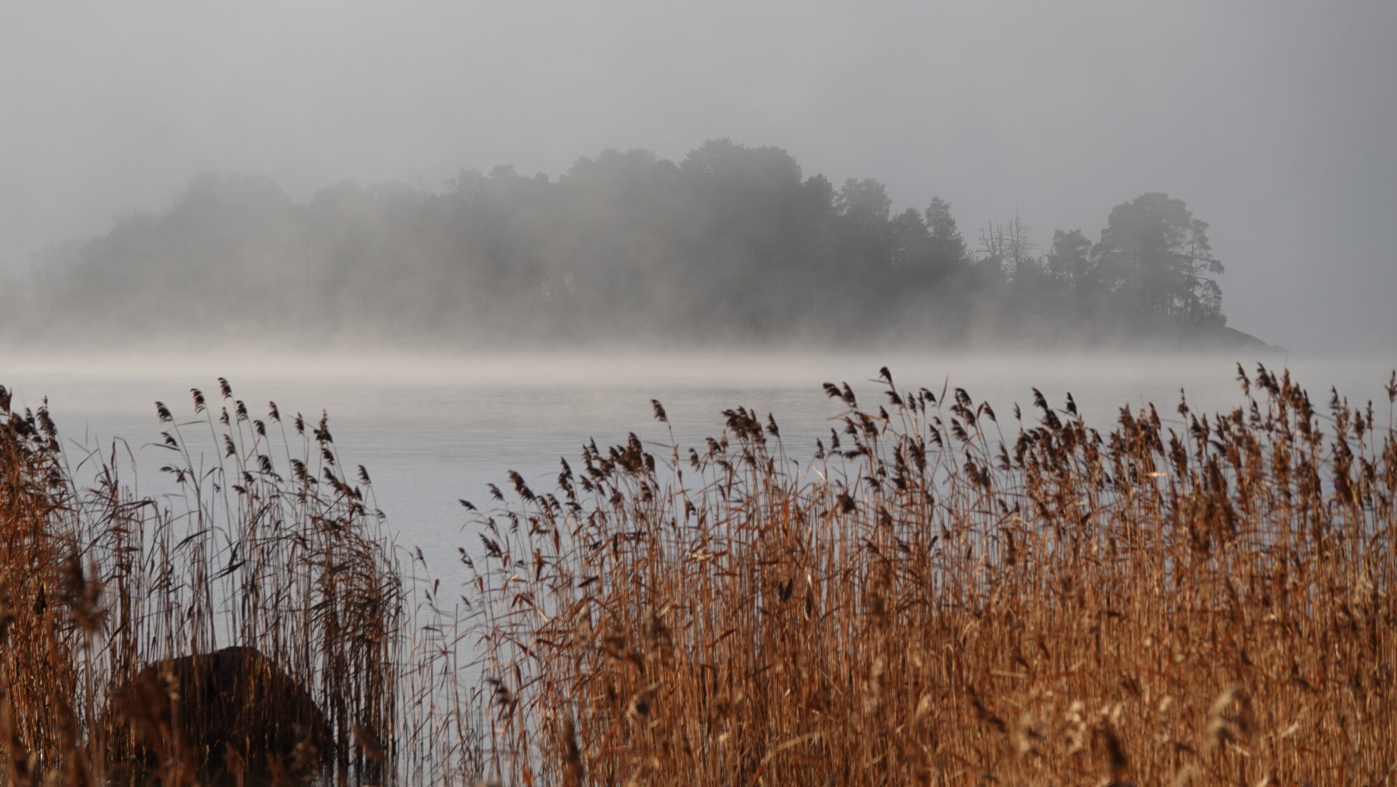 Valokuvaaja: Jenna Pitkänen