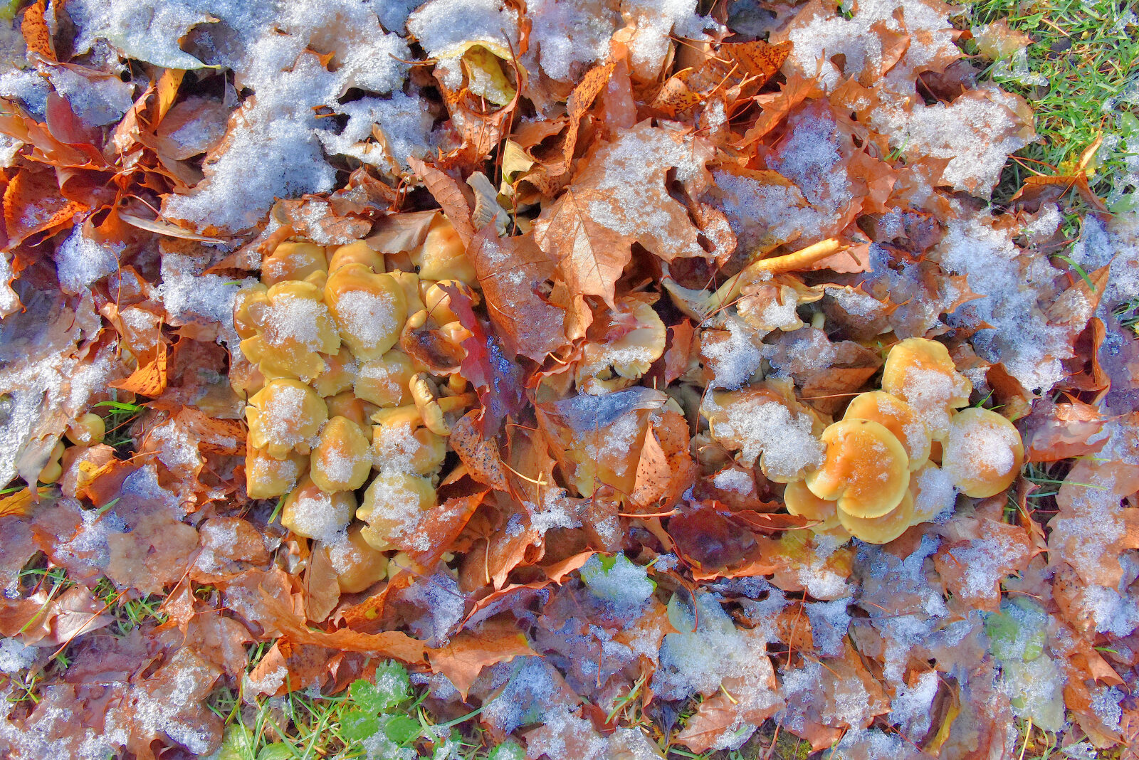 Valokuvaaja: Reijo Juurinen