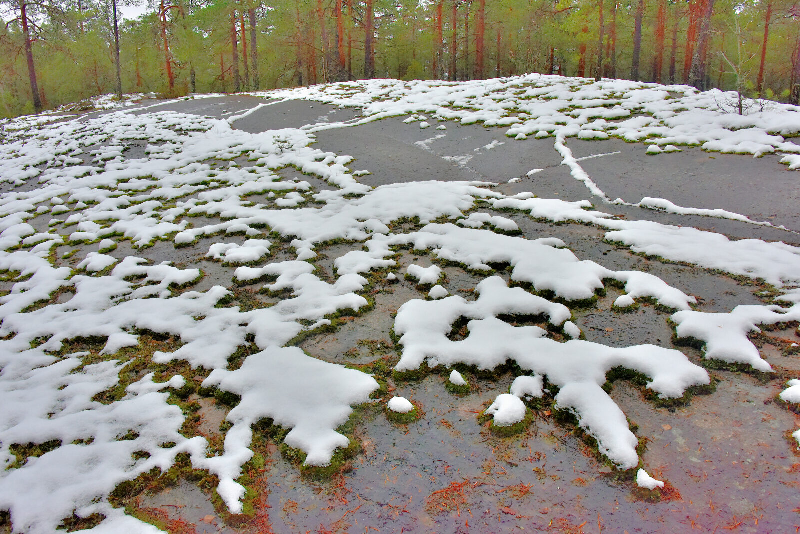Valokuvaaja: Reijo Juurinen