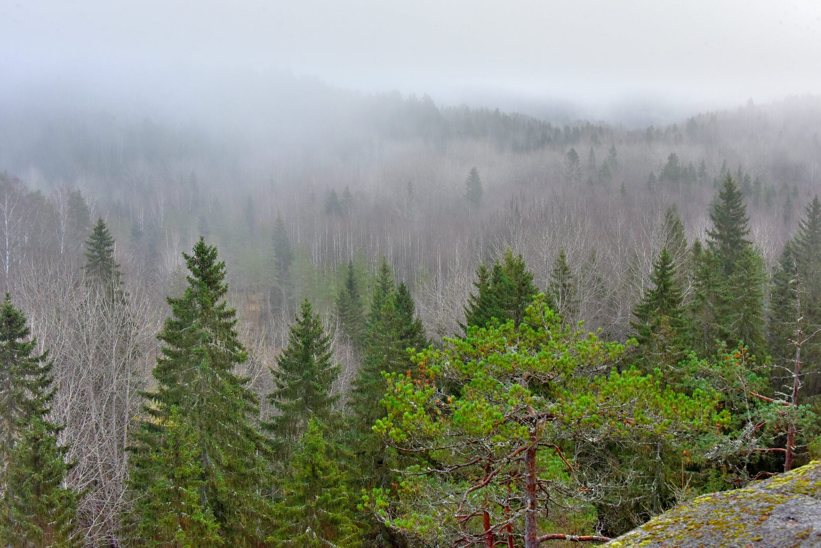 Valokuvaaja: Reijo Juurinen