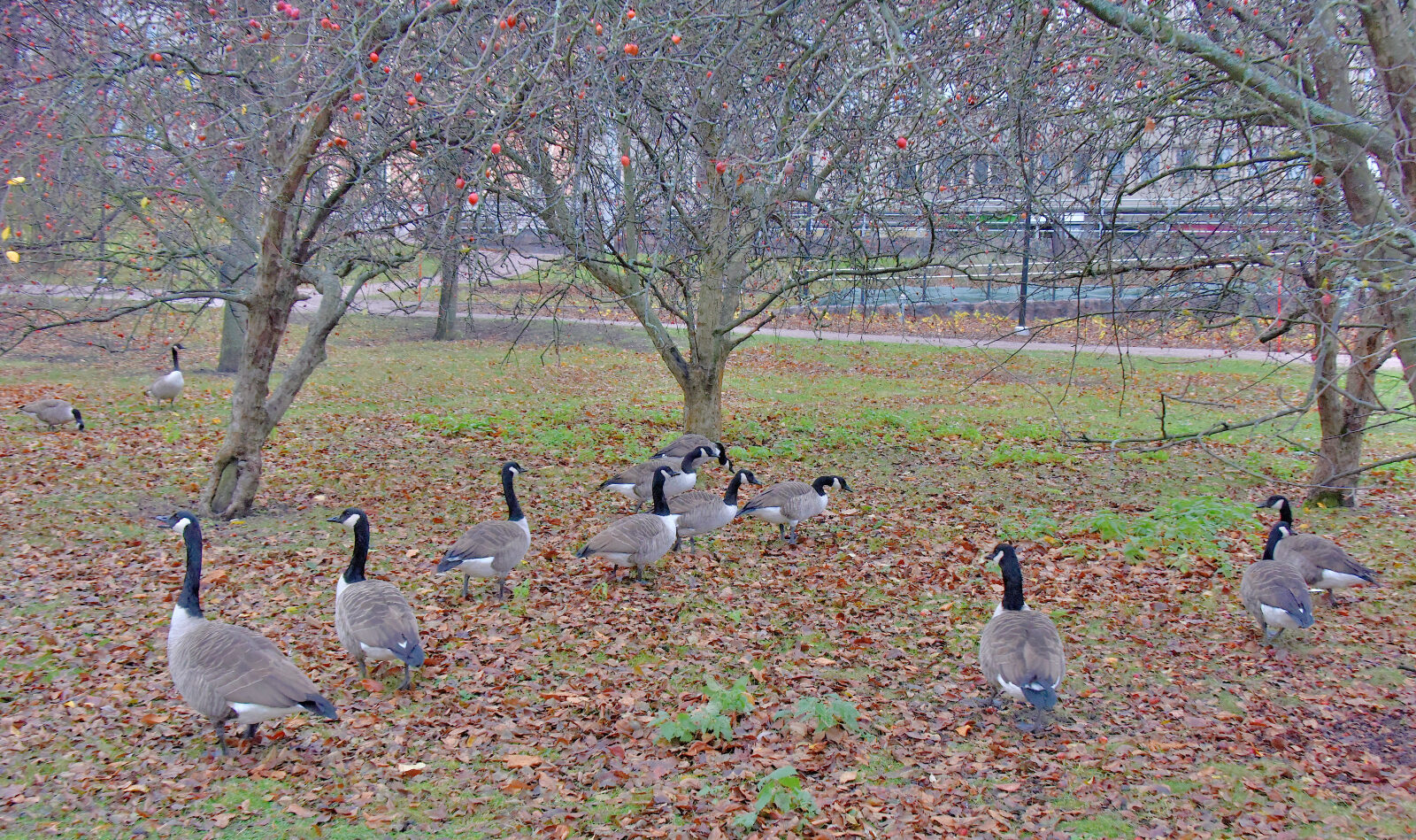 Valokuvaaja: Reijo Juurinen