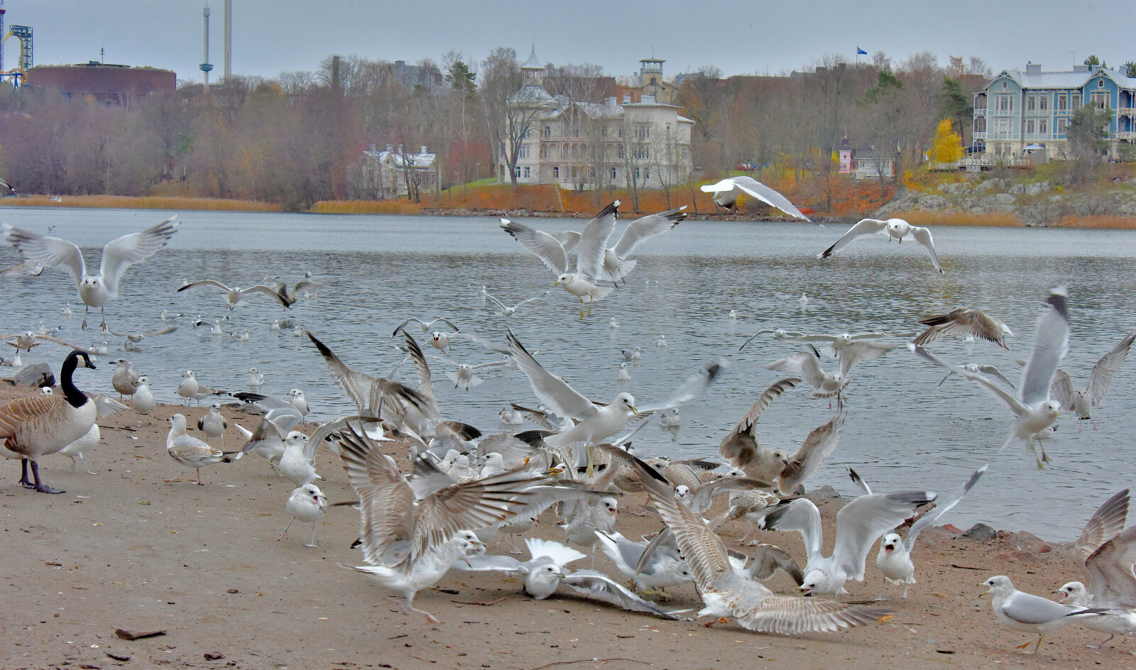Valokuvaaja: Reijo Juurinen