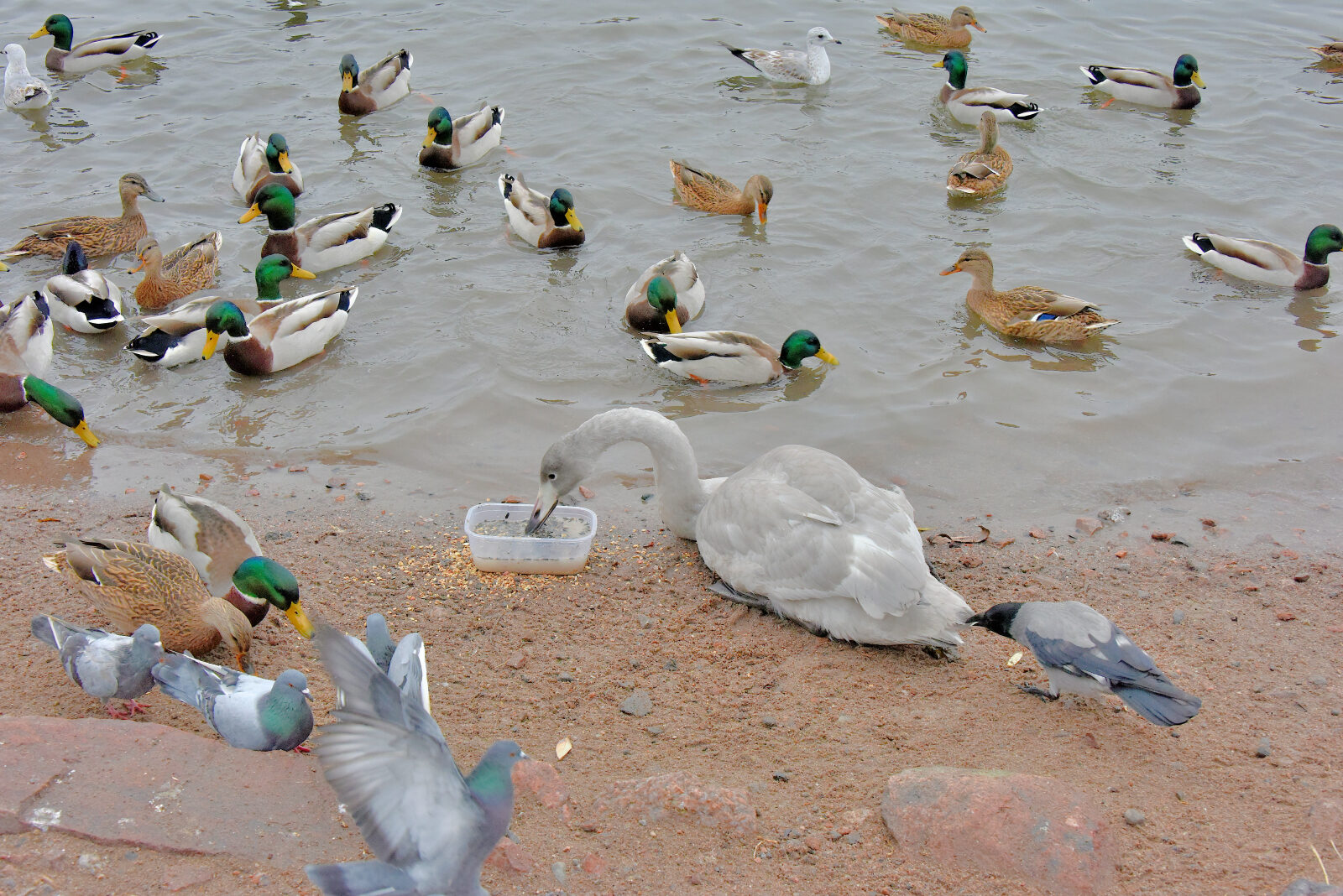 Valokuvaaja: Reijo Juurinen