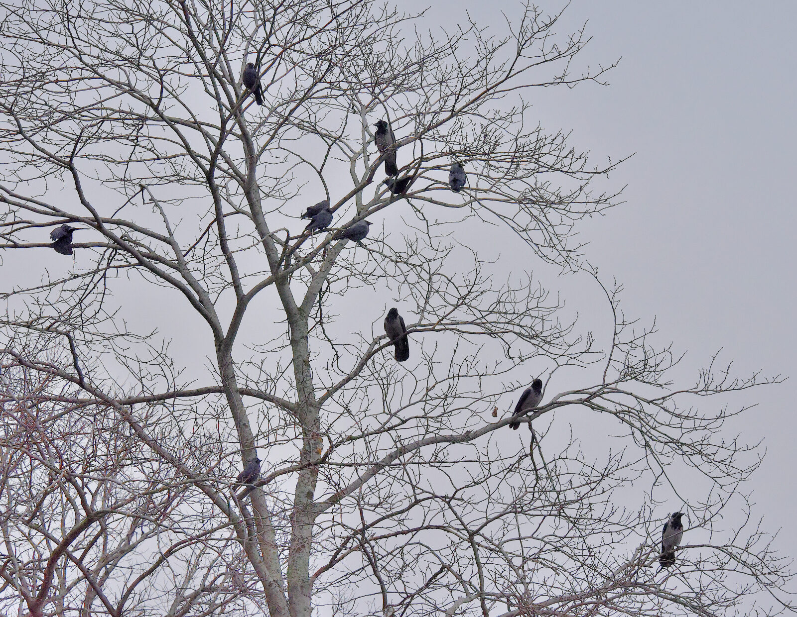 Valokuvaaja: Reijo Juurinen