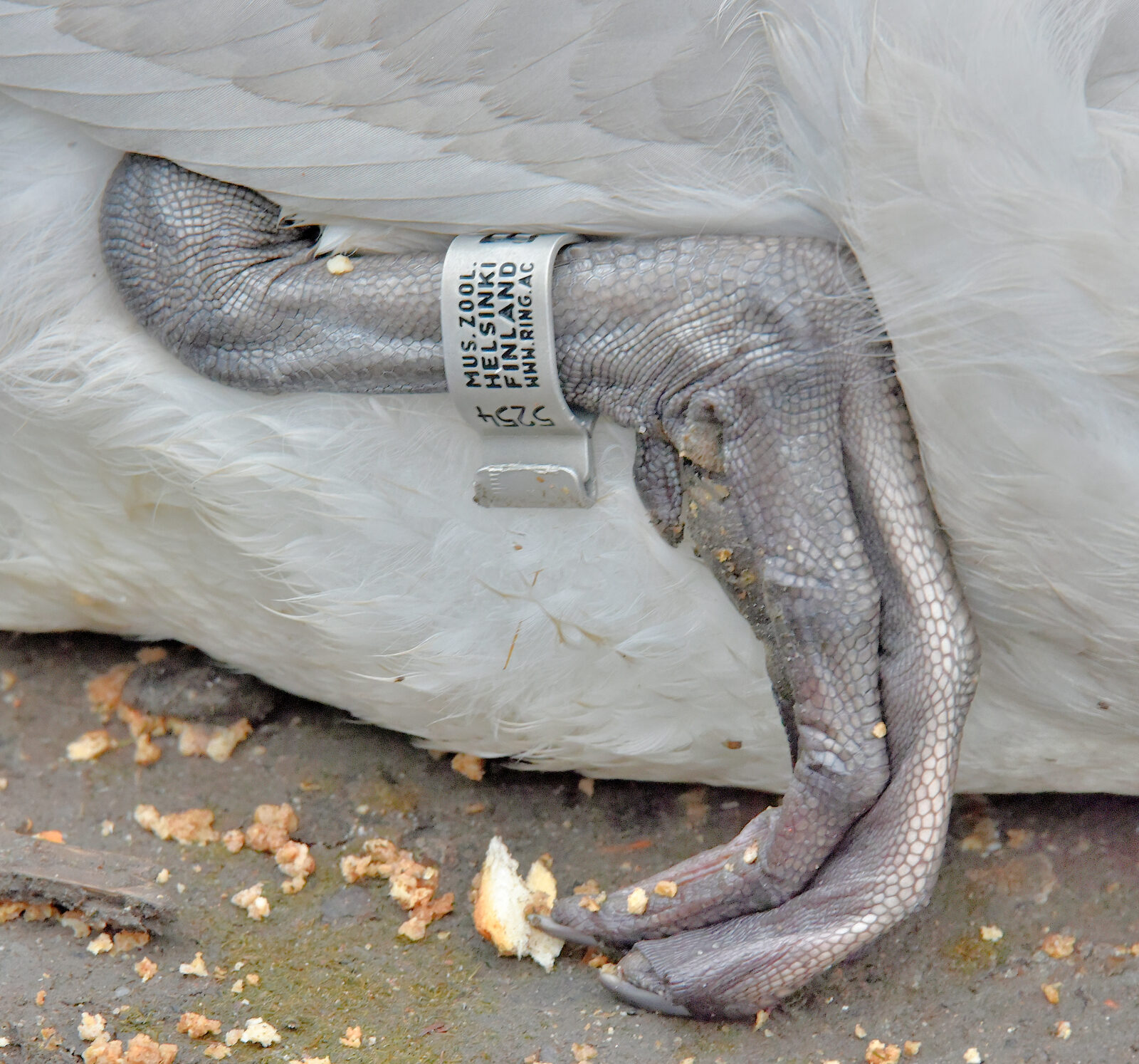 Valokuvaaja: Reijo Juurinen