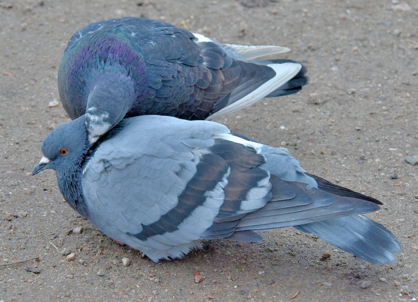 Valokuvaaja: Reijo Juurinen