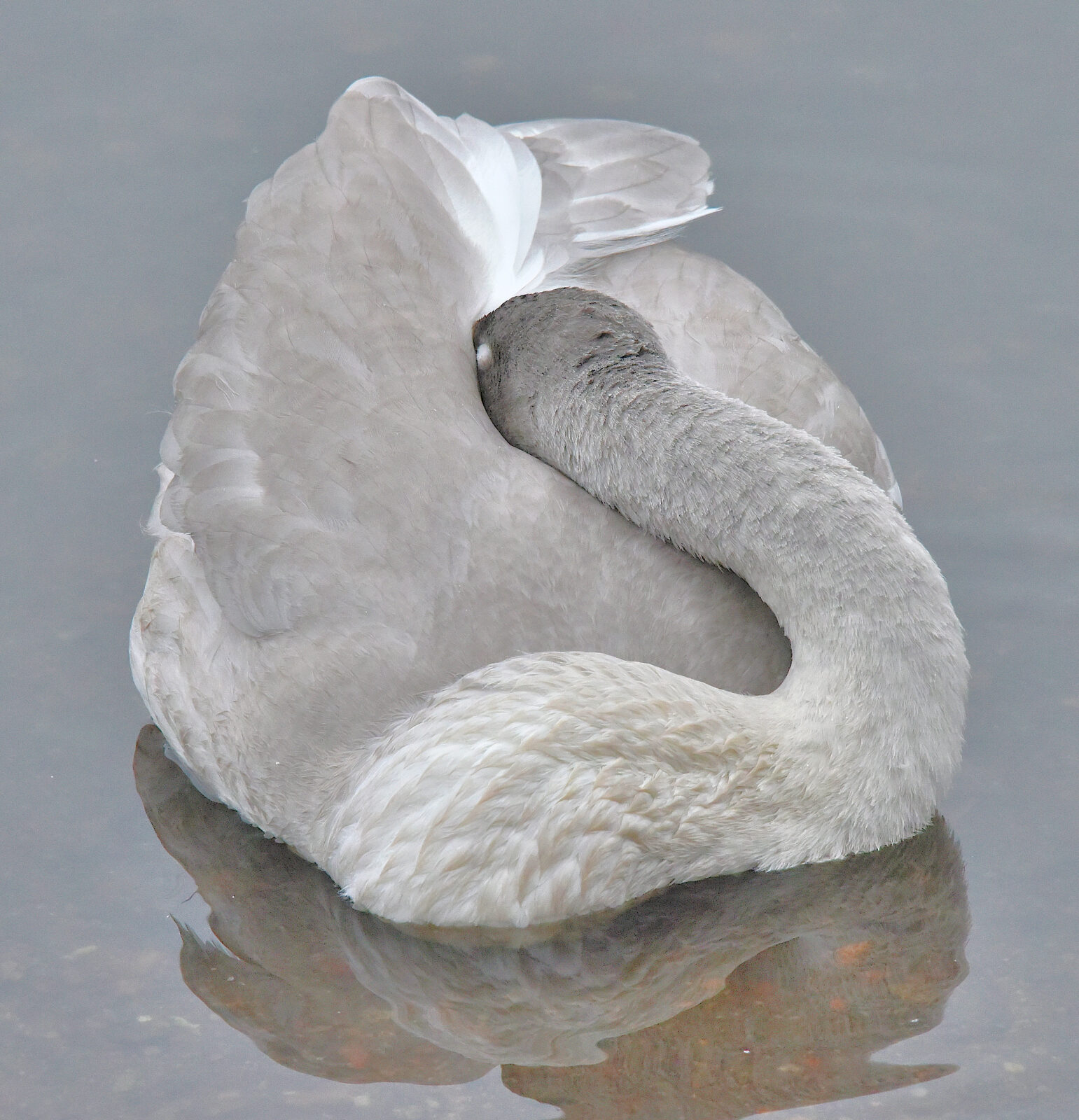 Valokuvaaja: Reijo Juurinen